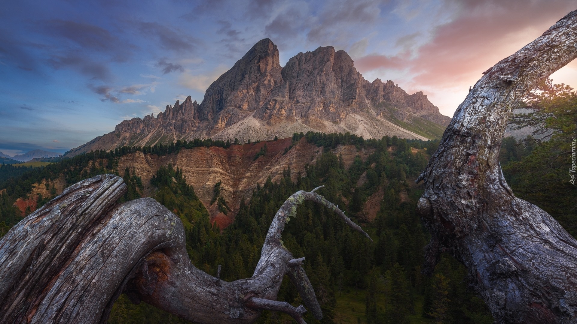 Góry, Dolomity, Przełęcz, Wurzjoch, Passo del Erbe, Drzewa, Chmury, Włochy