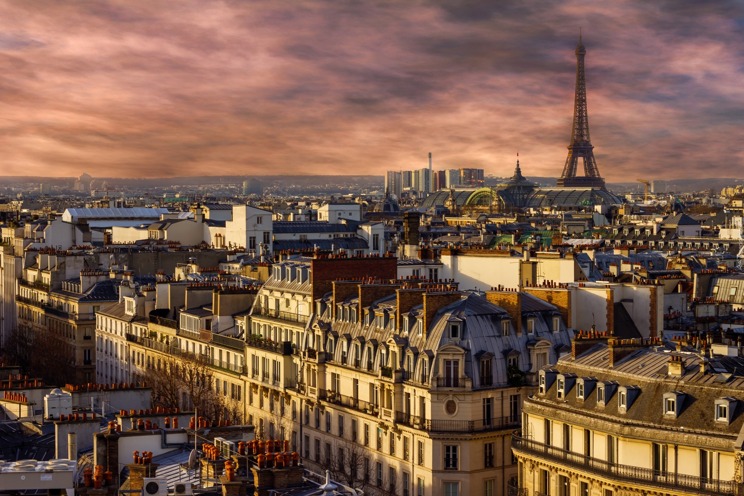 Francja, Paryż, Wieża Eiffla, Domy