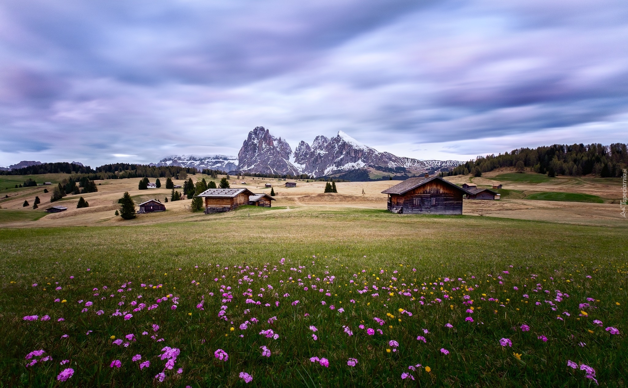 Włochy, Dolina Val Gardena, Góry, Dolomity, Łąka, Kwiaty, Domy