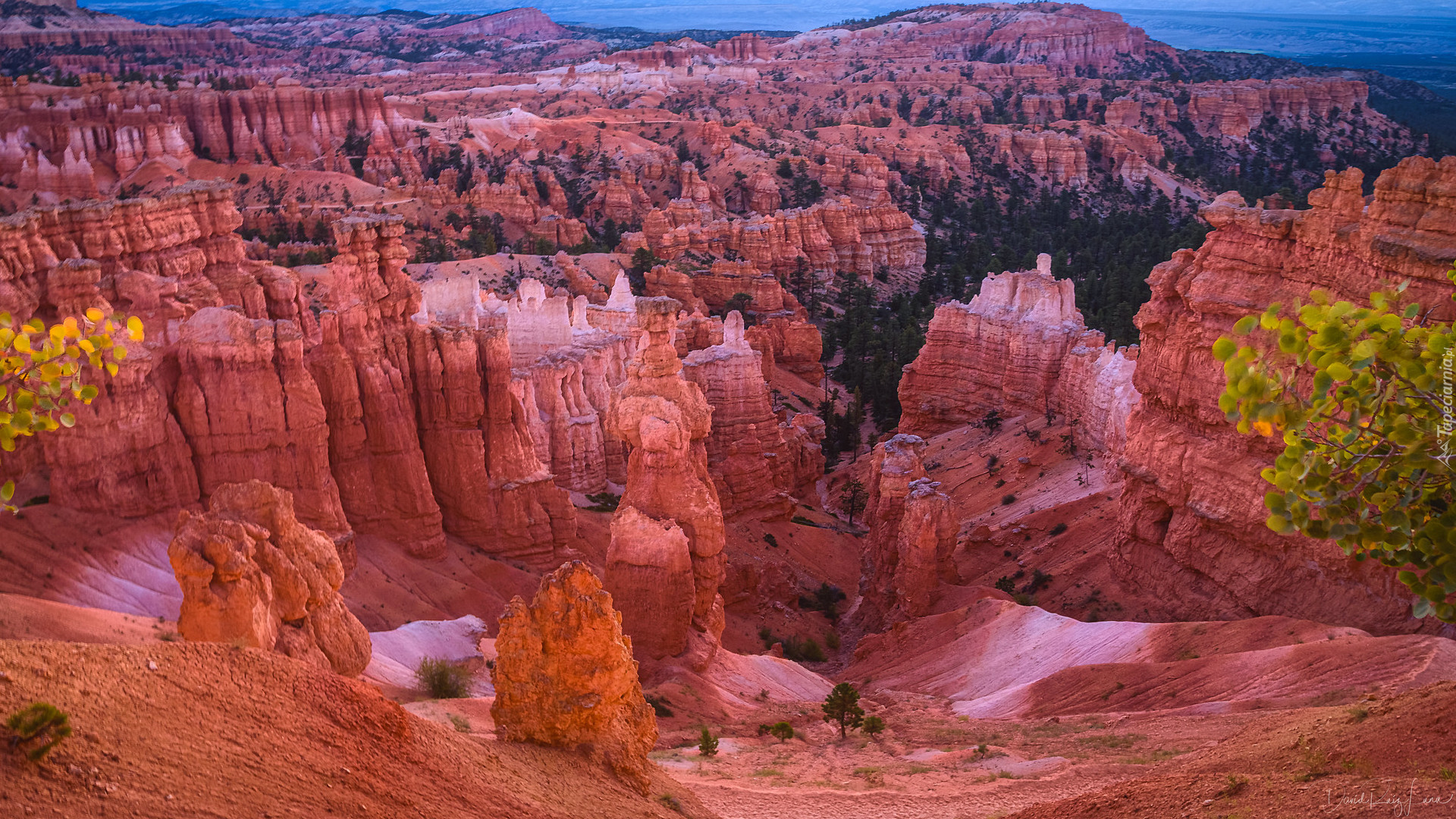 Kanion, Drzewa, Skały, Park Narodowy Bryce Canyon, Utah, Stany Zjednoczone