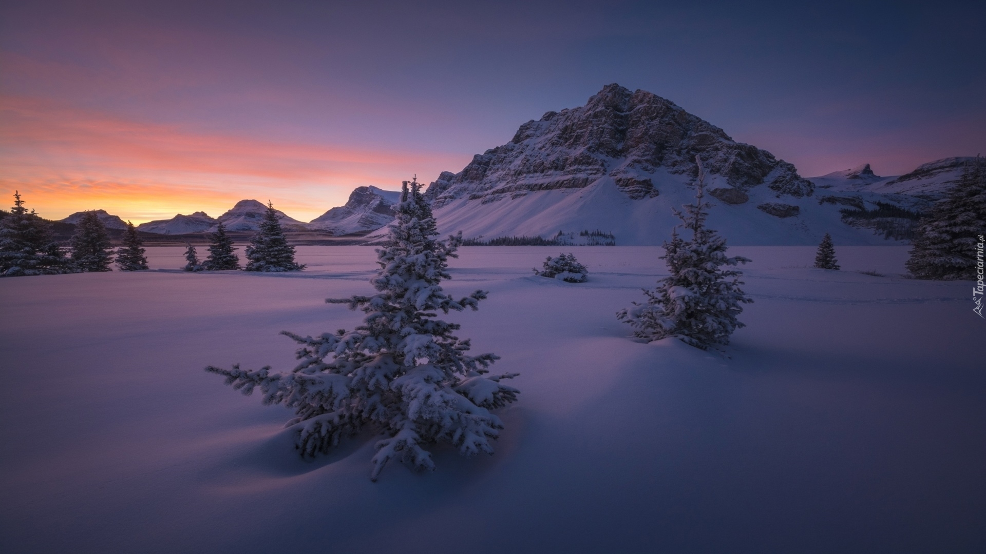 Kanada, Alberta, Park Narodowy Banff, Góra Crowfoot Mountain, Góry, Zima, Wschód słońca, Drzewa