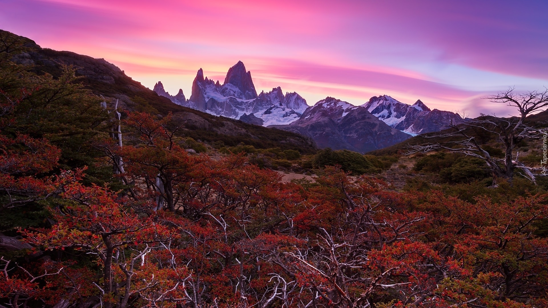 Góry, Góra Fitz Roy, Kolorowe, Niebo, Jesień, Czerwone, Krzewy, Patagonia, Argentyna