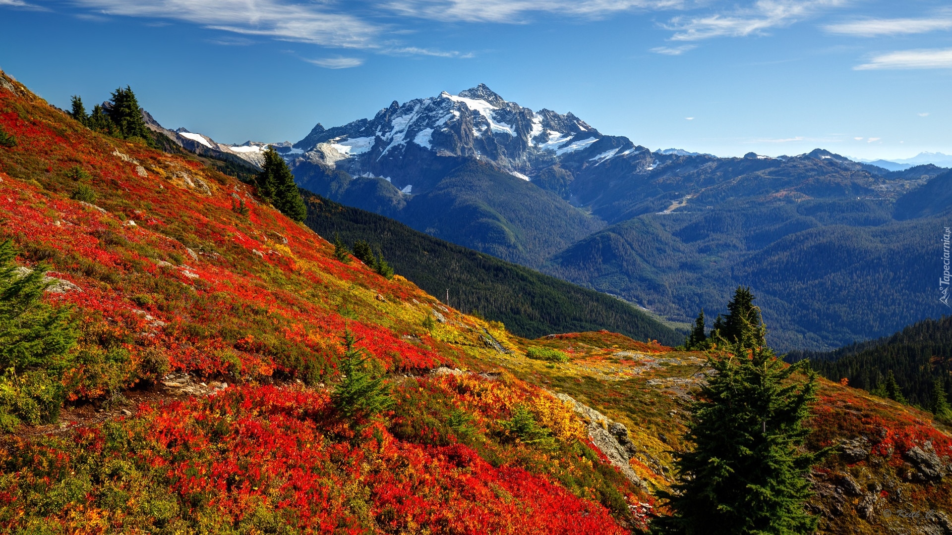 Góry, Góra, Mount Shuksan, Drzewa, Łąka, Kolorowe, Rośliny, Park Narodowy Północnych Gór Kaskadowych, Stan Waszyngton, Stany Zjednoczone