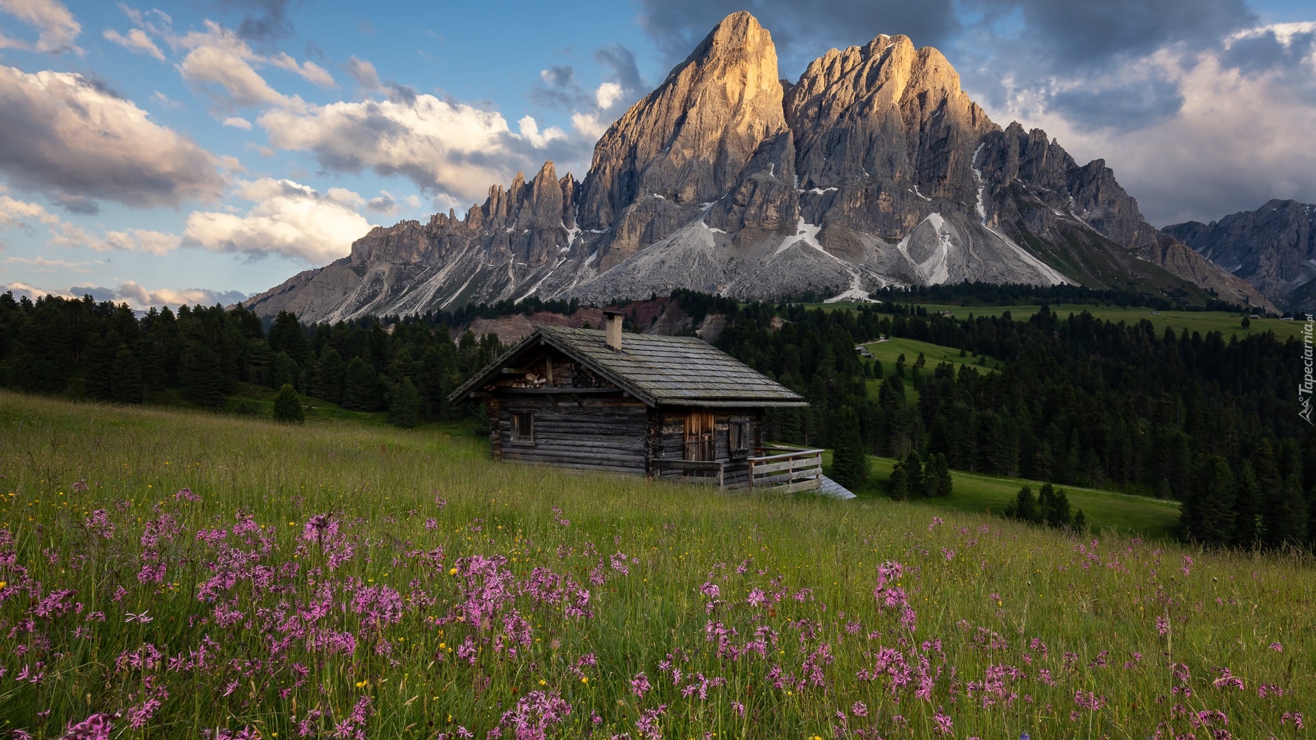 Włochy, Góry, Góra Peitlerkofel, Las, Drzewa, Łąka, Dom, Chmury, Przełęcz Wurzjoch, Południowy Tyrol, Włochy