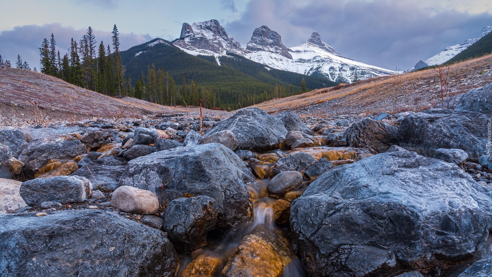 Kanada, Alberta, Góry, Canadian Rockies, Góra, Three Sisters, Kamienie, Potok, Drzewa