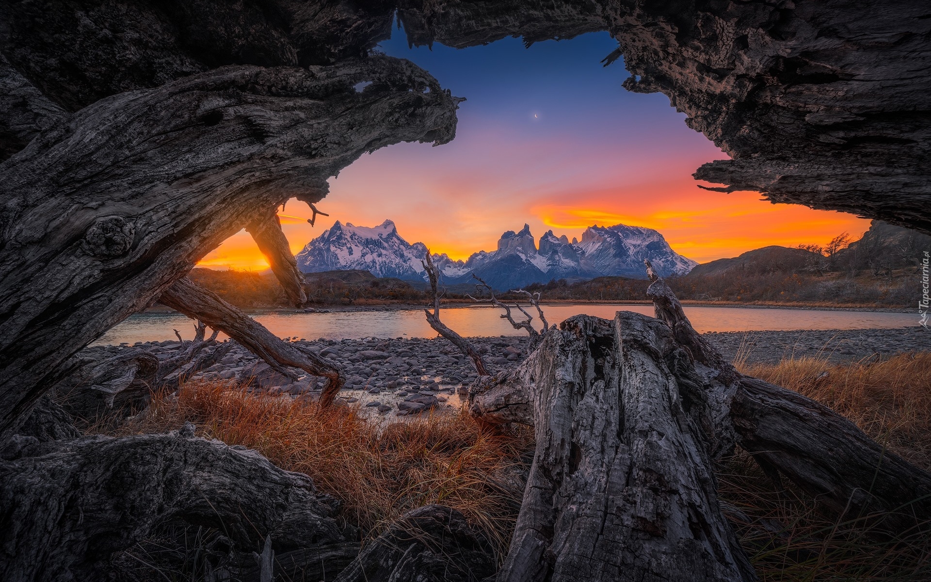 Park Narodowy Torres del Paine, Kamienisty, Brzeg, Rzeka, Drzewo, Skały, Góry Cordillera del Paine, Patagonia, Chile