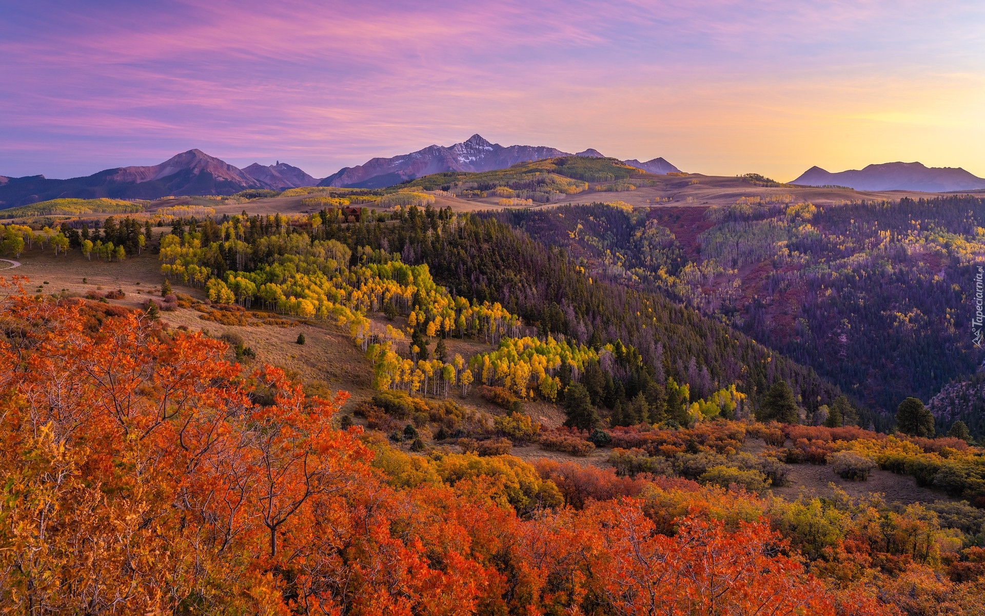 Stany Zjednoczone, Stan Kolorado, Telluride, Las, Jesień, Góry, San Juan Mountains, Roślinność, Kolorowe, Drzewa, Krzewy