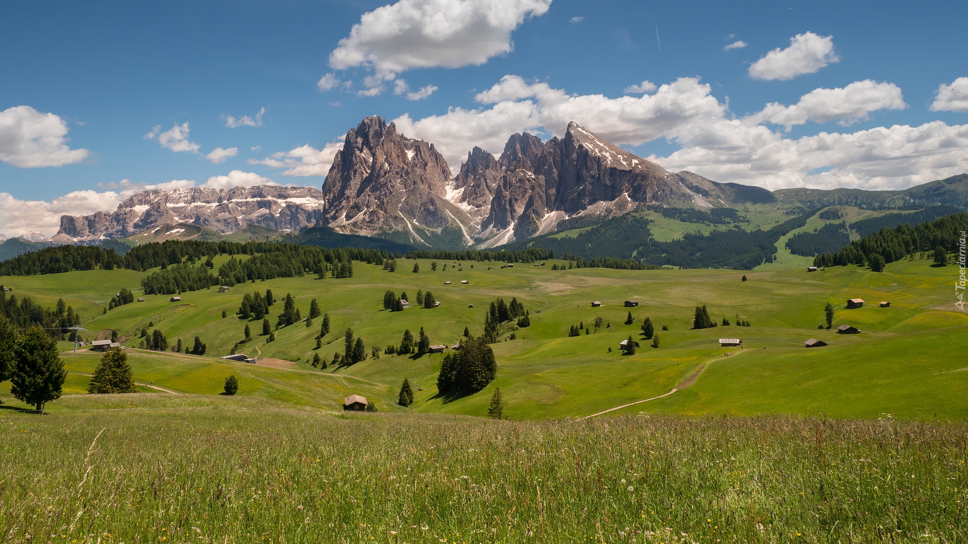 Płaskowyż Seiser Alm, Dolina Val Gardena, Góry Sassolungo, Dolomity, Domy, Drzewa, Chmury, Włochy