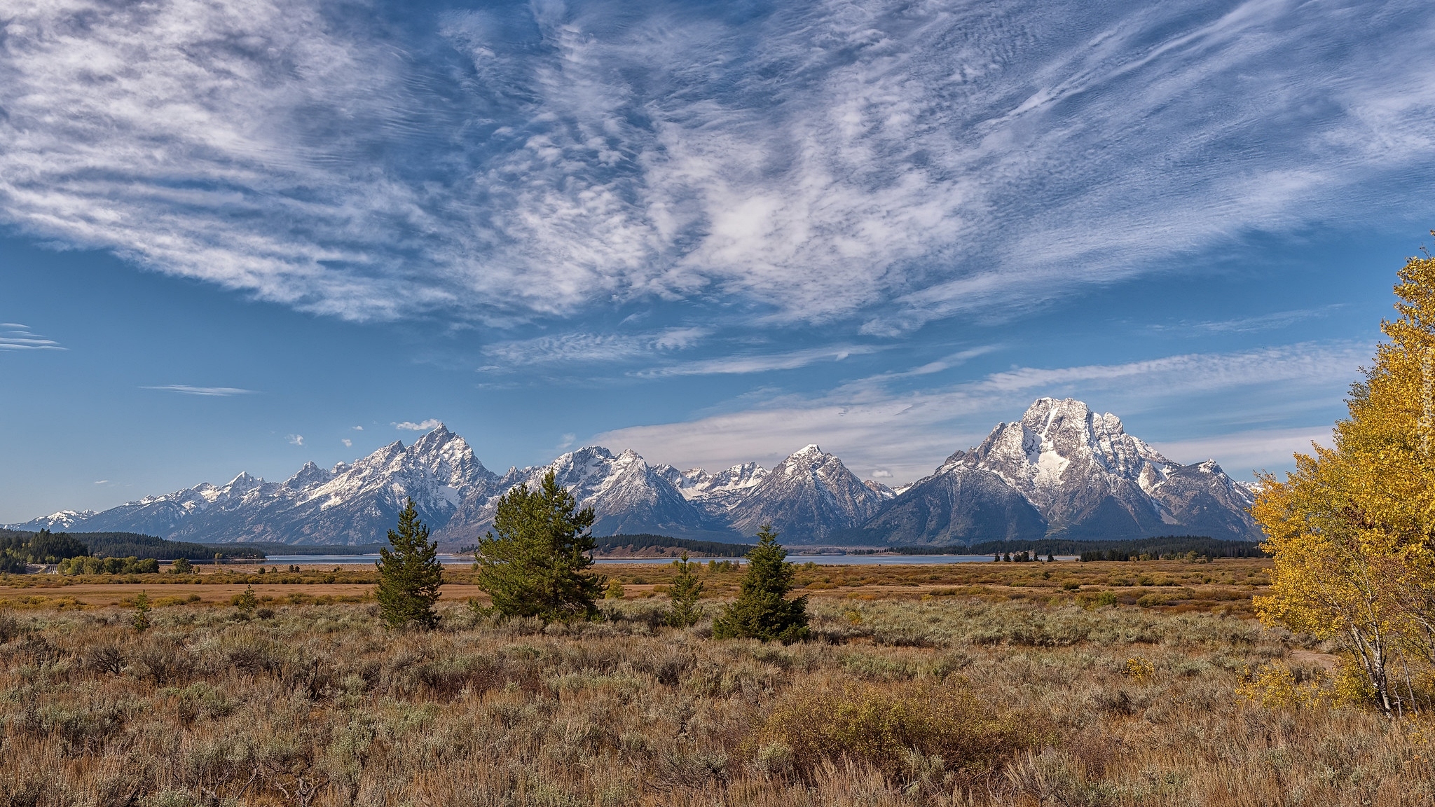 Park Narodowy Grand Teton, Góry, Teton Range, Drzewa, Stan Wyoming, Stany Zjednoczone