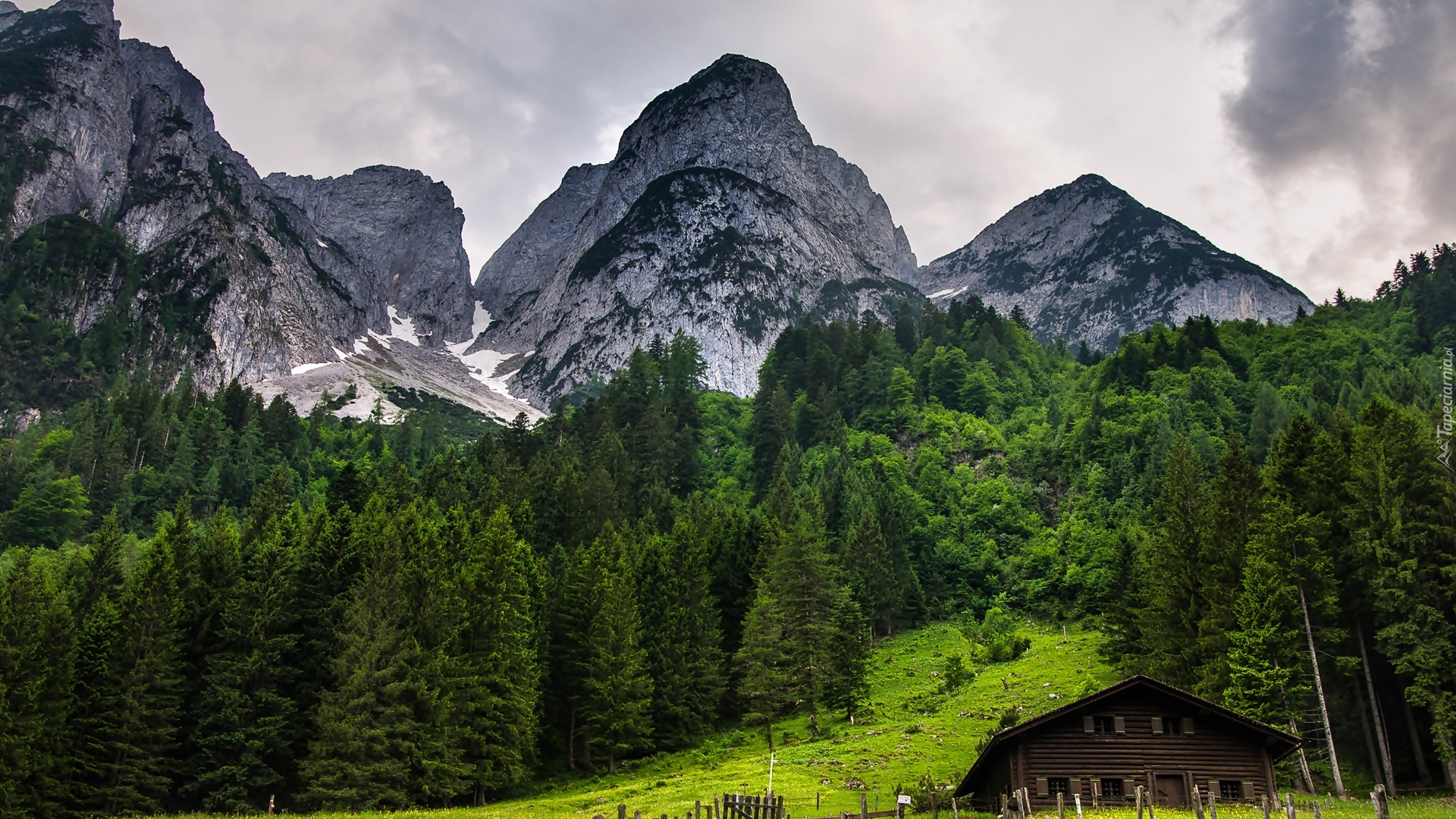 Austria, Miejscowość Gosau, Góry Dachstein, Las, Drewniany, Dom