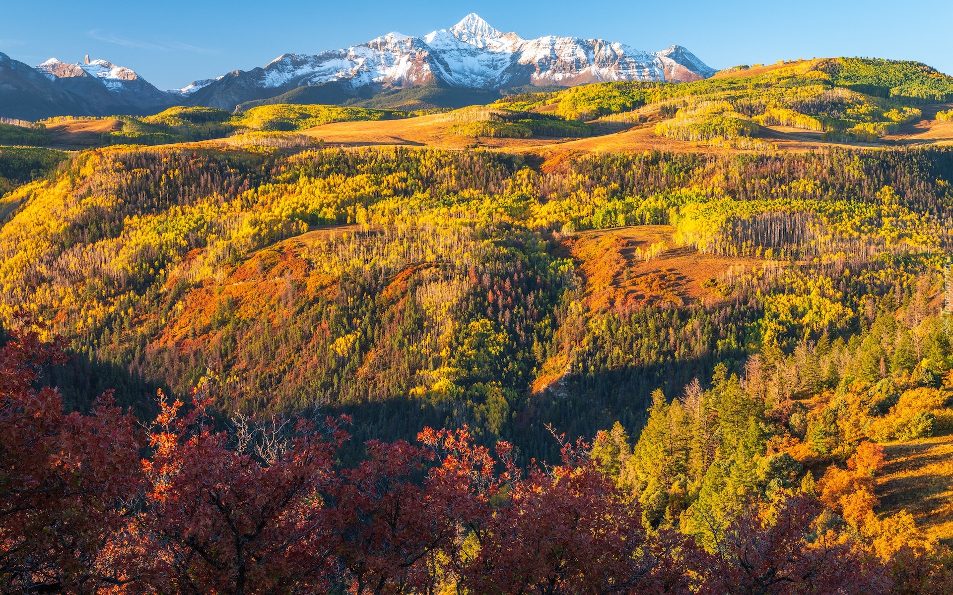 Stany Zjednoczone, Kolorado, Telluride, Jesień, Góry, San Juan Mountains, Roślinność, Lasy