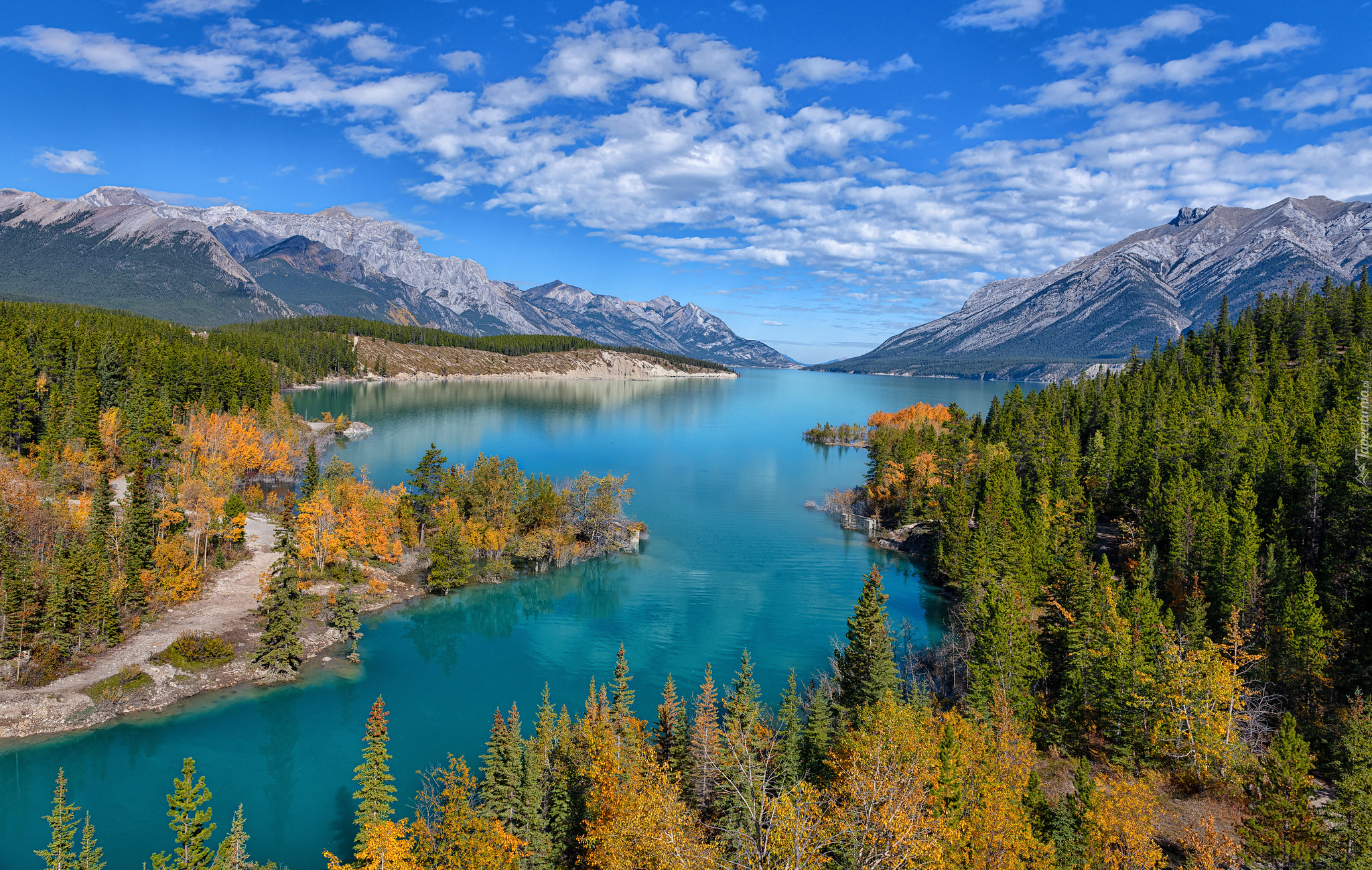 Góry Skaliste, Canadian Rockies, Jezioro, Abraham Lake, Lasy, Drzewa, Alberta, Kanada