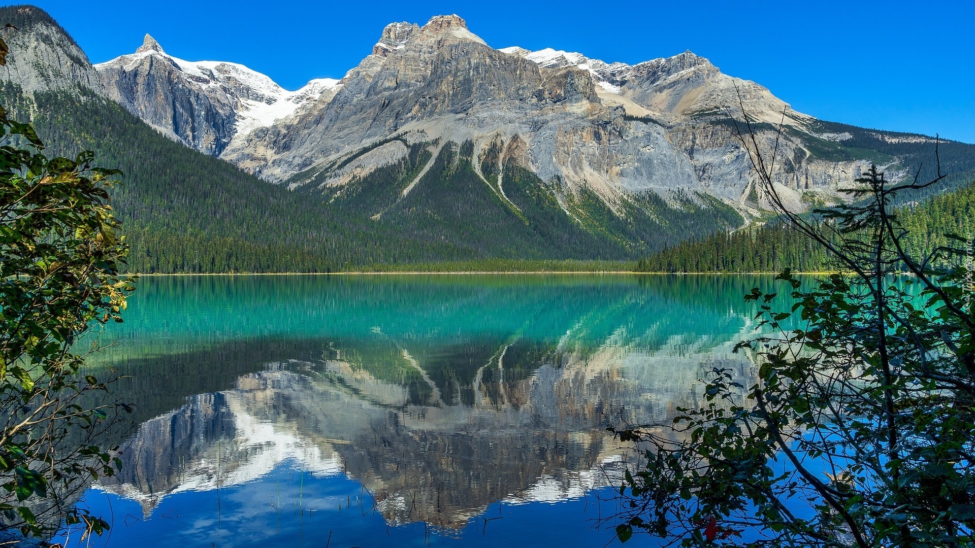 Góry, Jezioro, Emerald Lake, Drzewa, Odbicie, Kanada, Park Narodowy Yoho
