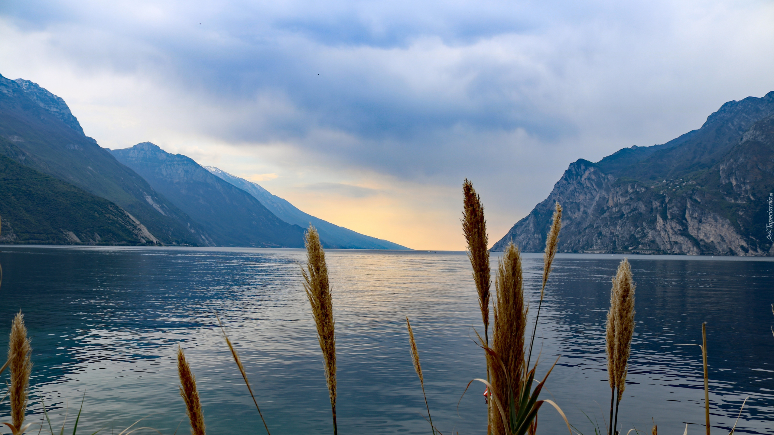 Jezioro, Lake Garda, Góry, Trawa, Włochy