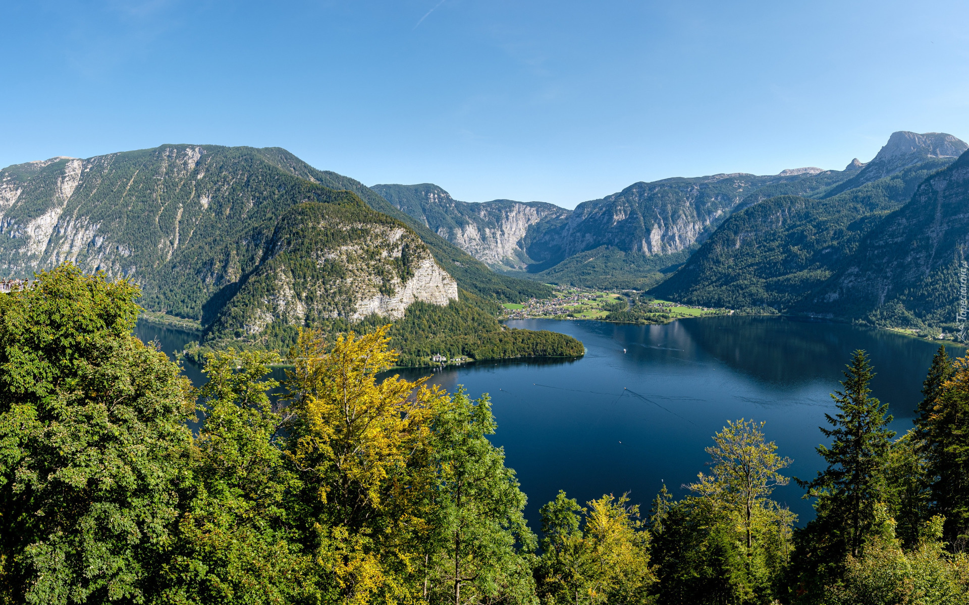 Drzewa, Góry, Alpy, Jezioro Hallstattersee, Hallstatt, Wieś, Gmina Obertraun, Austria