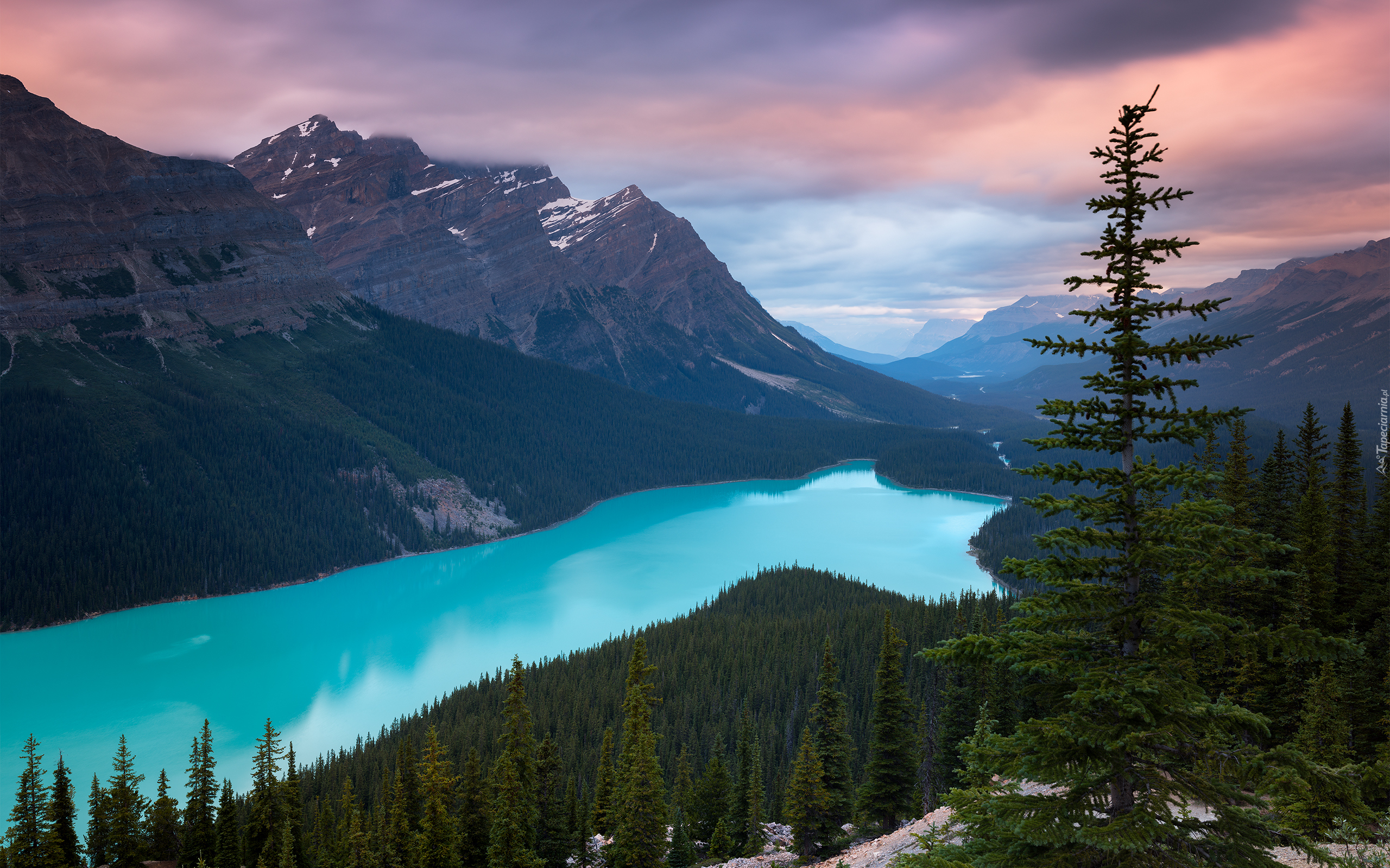 Kanada, Park Narodowy Banff, Góry Canadian Rockies, Jezioro Peyto Lake, Las, Chmury