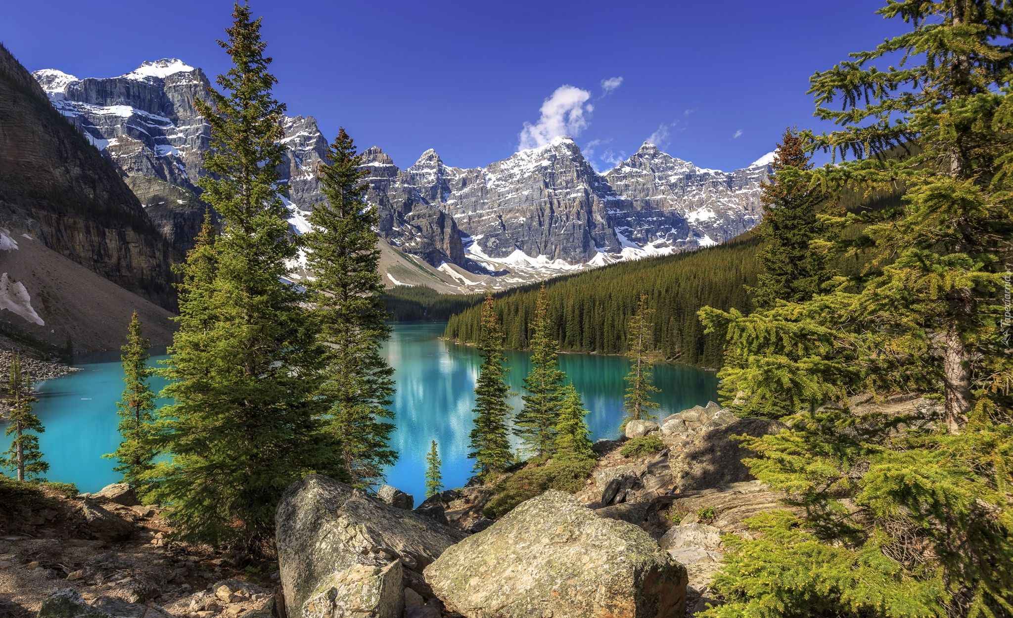 Park Narodowy Banff, Jezioro Moraine, Las, Drzewa, Góry, Alberta, Kanada
