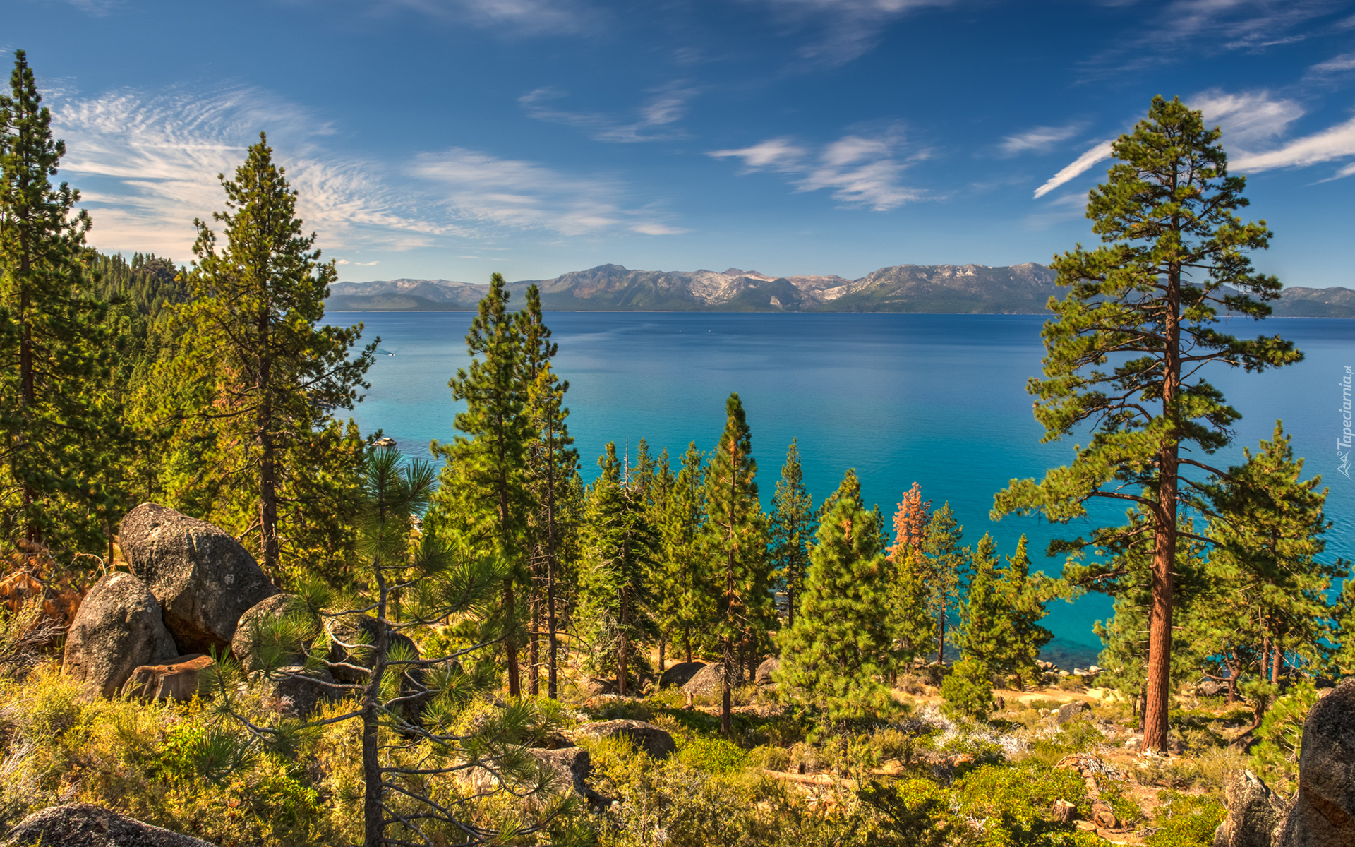 Stany Zjednoczone, Stan Newada, Jezioro Tahoe, Wzgórza, Drzewa