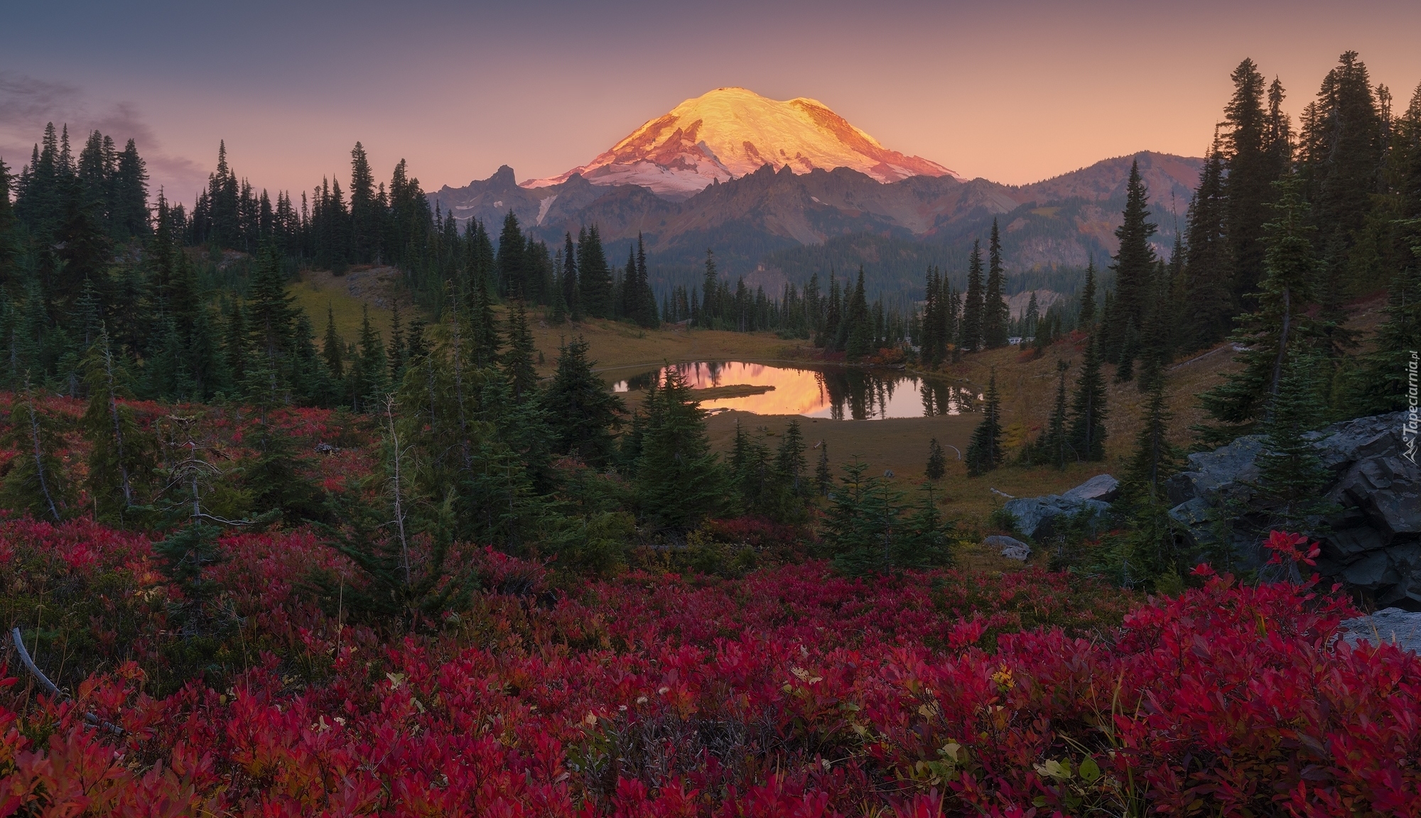 Park Narodowy Mount Rainier, Stratowulkan Mount Rainier, Góry, Drzewa, Jezioro Tipsoo, Stan Waszyngton, Stany Zjednoczone