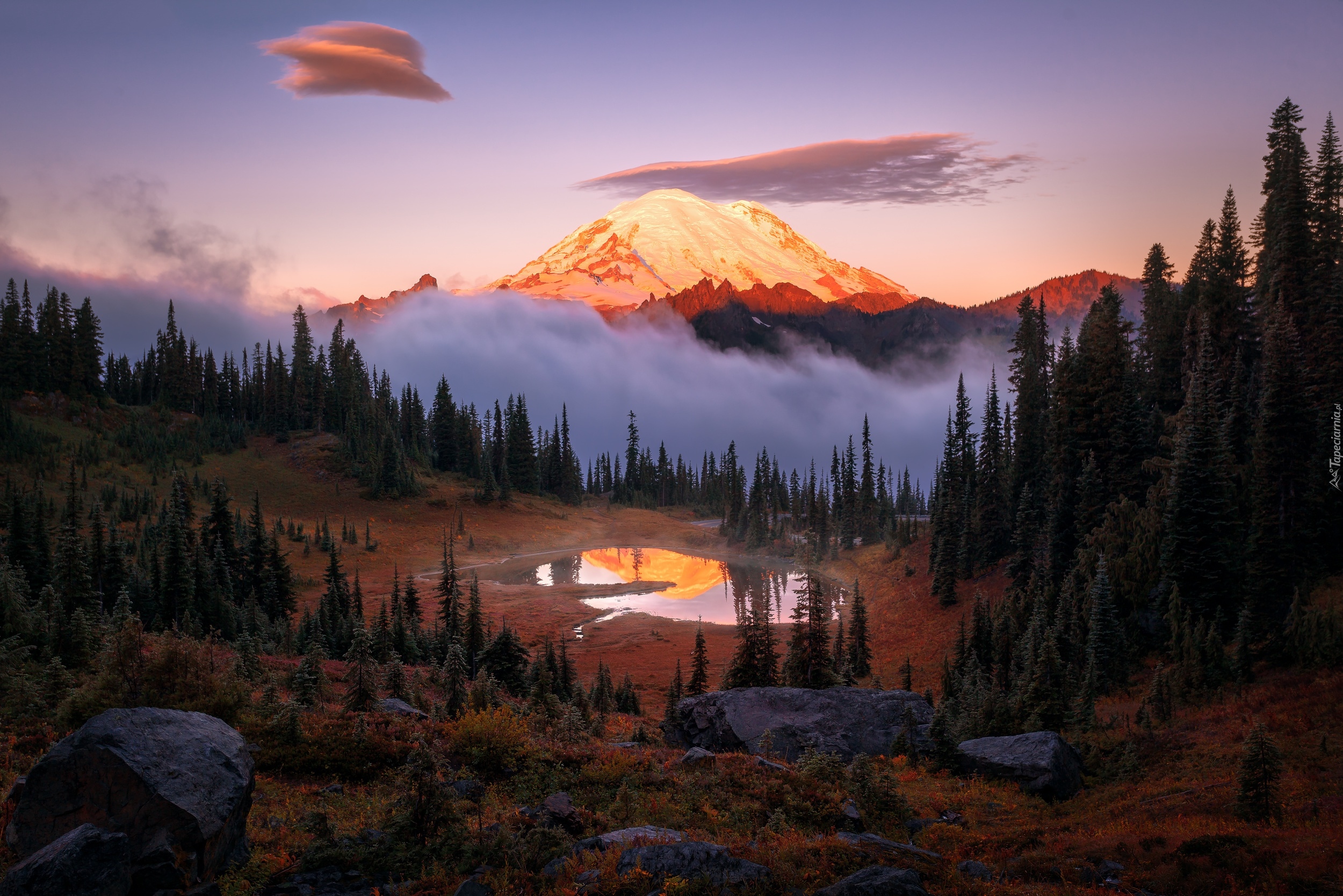 Stany Zjednoczone, Stan Waszyngton, Park Narodowy Mount Rainier, Góry, Stratowulkan Mount Rainier, Drzewa, Jezioro Tipsoo, Mgła