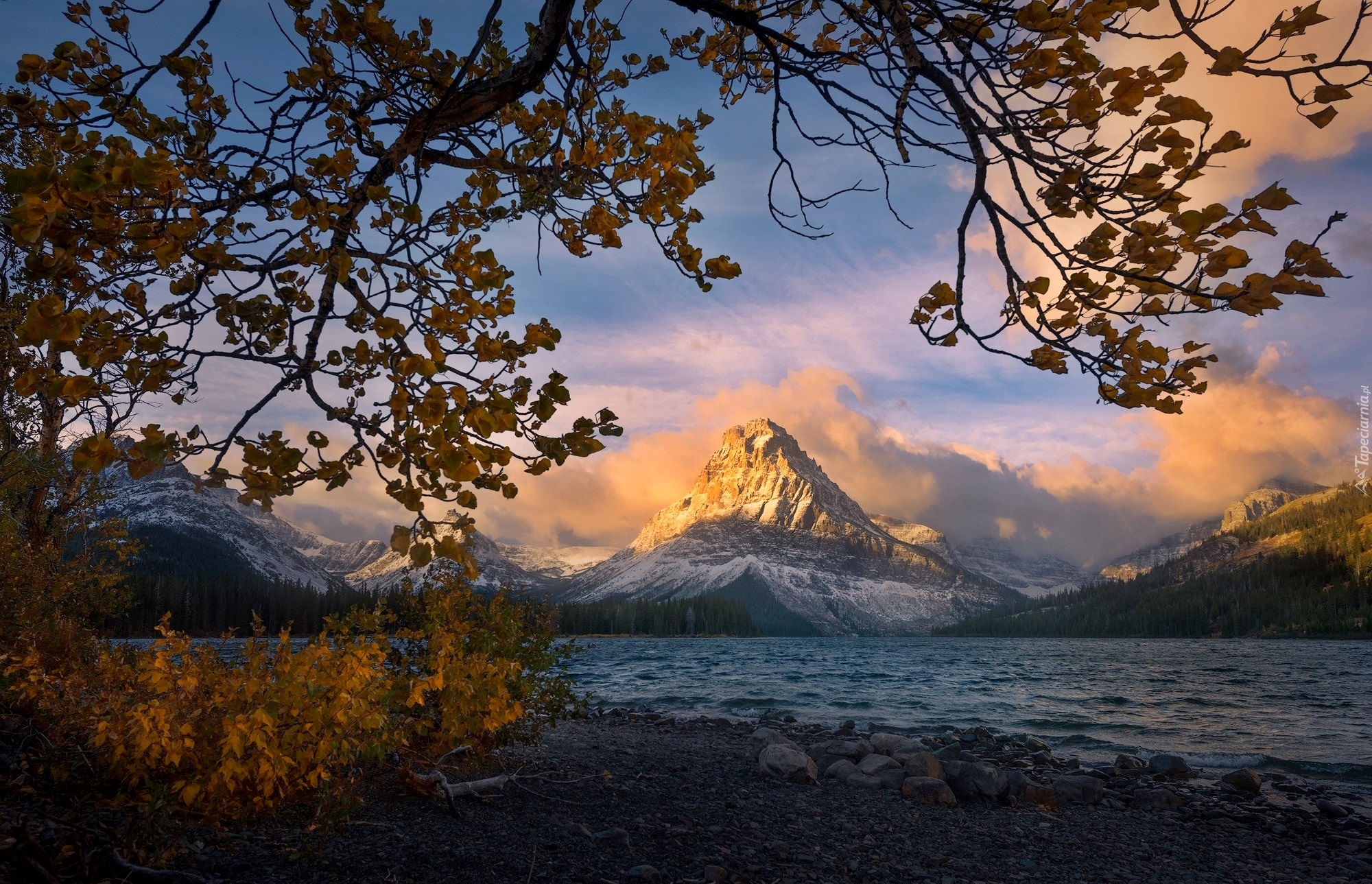 Stany Zjednoczone, Stan Montana, Park Narodowy Glacier, Góry Lewis Range, Szczyt Sinopah Mountain, Jezioro, Two Medicine Lake, Gałęzie, Drzewa