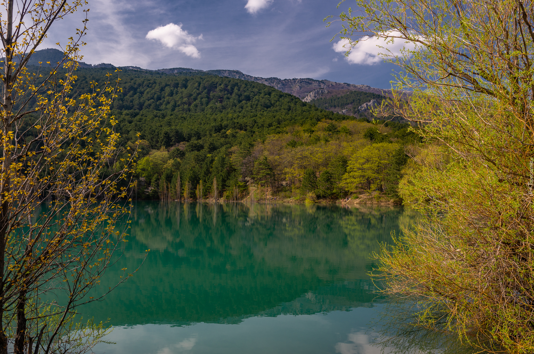 Jezioro, Góry, Las, Drzewa, Niebo