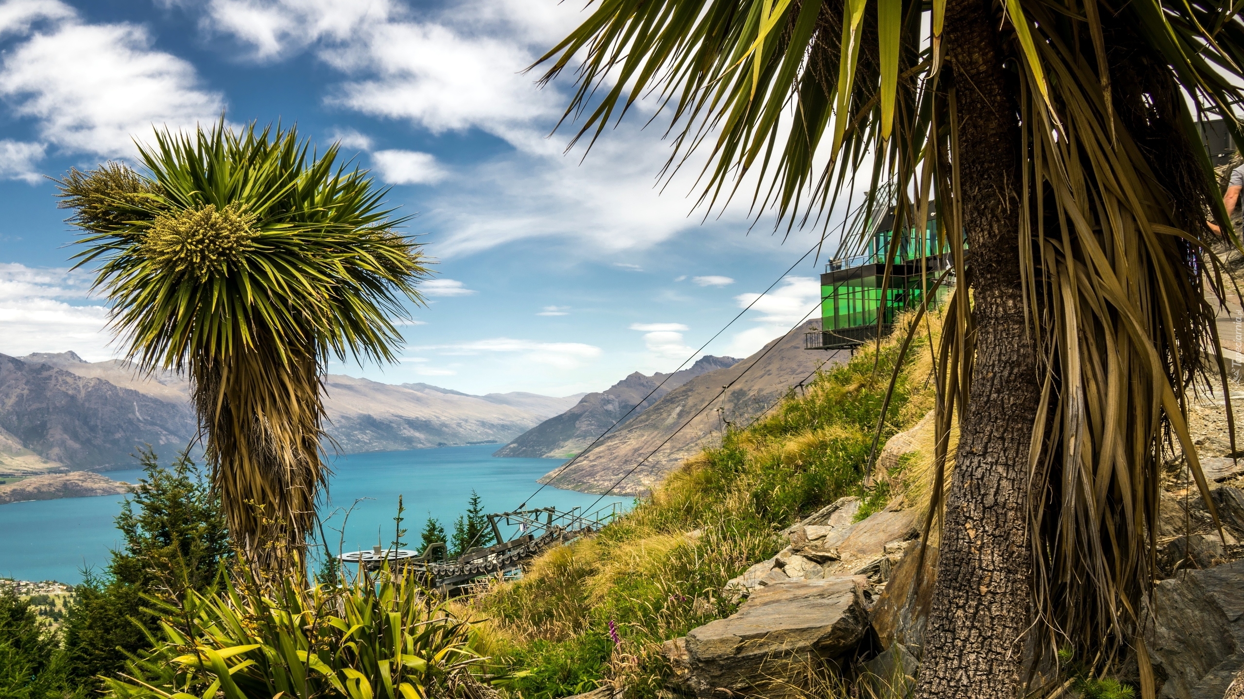 Jezioro Wakatipu, Drzewa, Punkt widokowy, Queenstown, Nowa Zelandia