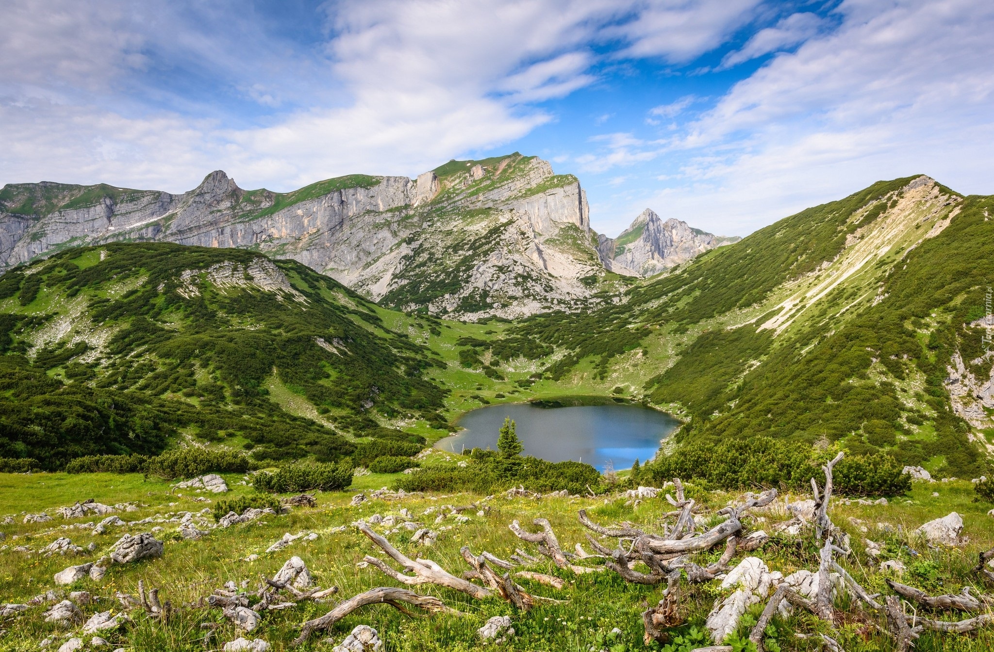 Austria, Góry, Jezioro Zireiner See, Wzgórza, Konary