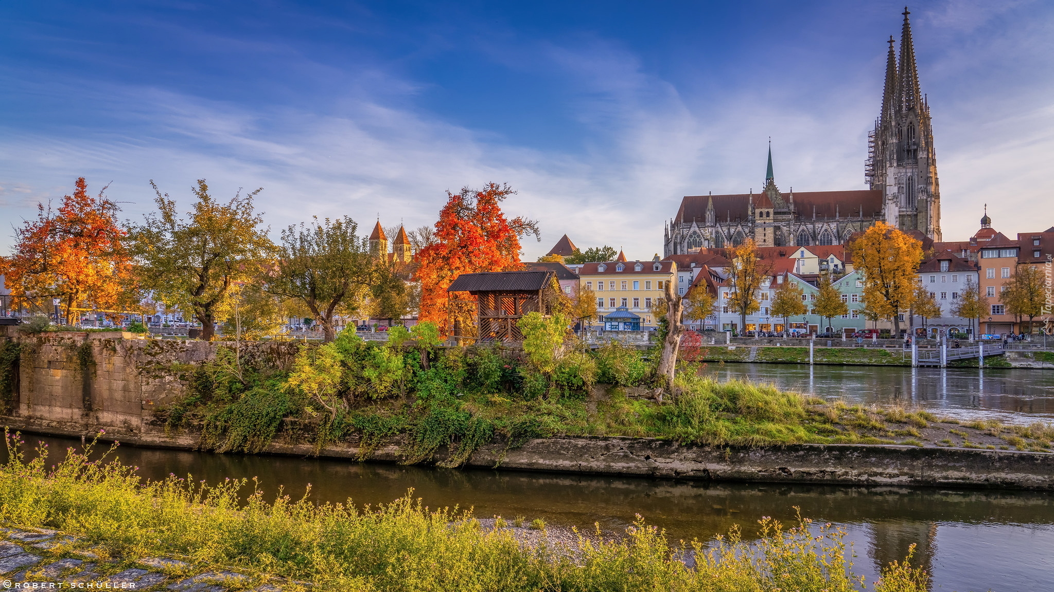 Kościół, Katedra w Regensburgu, Drzewa, Domy, Rzeka Regen, Regensburg, Ratyzbona, Bawaria, Niemcy