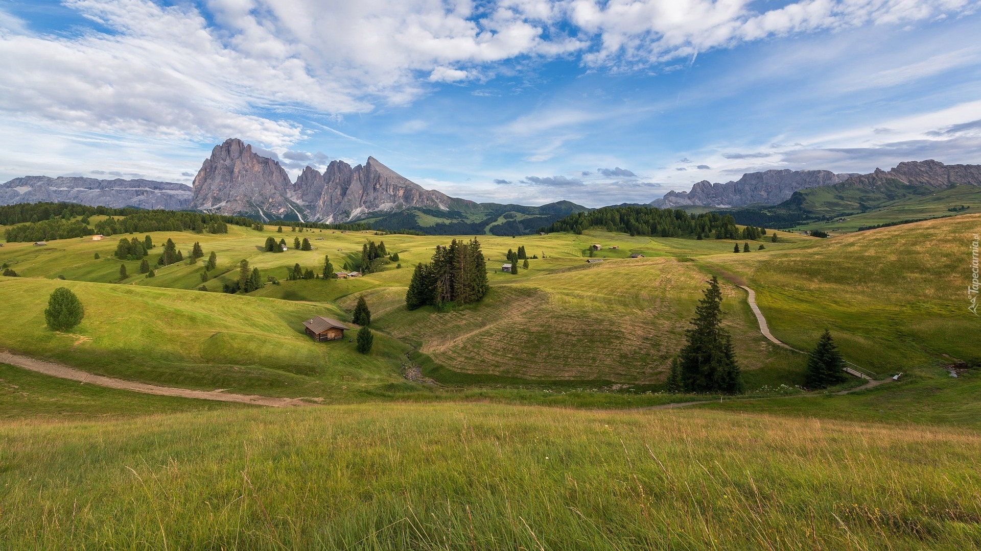 Włochy, Dolomity, Góry, Dolina Val Gardena, Łąki, Domy