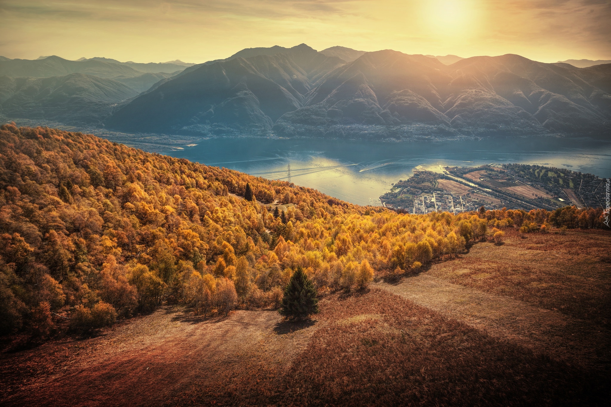 Szwajcaria, Kanton Ticino, Miasto Locarno, Góry Alpy, Jezioro Maggiore, Drzewa, Jesień, Wschód słońca