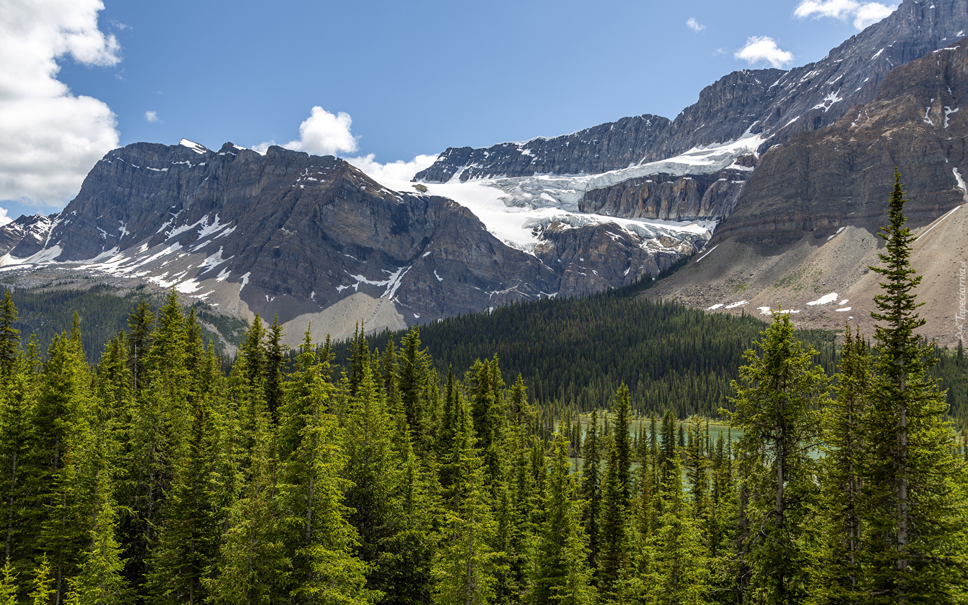 Park Narodowy Banff, Góry, Skały, Śnieg, Drzewa, Lasy, Lodowiec Crowfoot Glacier, Alberta, Kanada