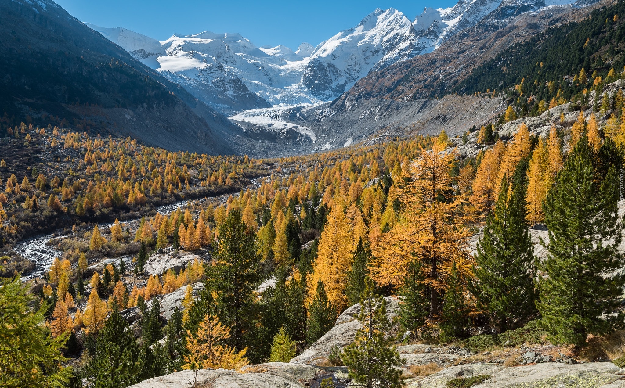 Jesień, Góry, Skały, Żółte, Drzewa, Lodowiec Morteratschgletscher, Kanton Gryzonia, Szwajcaria