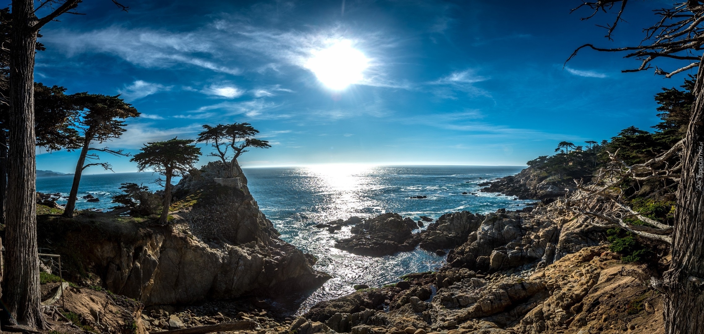 Stany Zjednoczone, Stan Kalifornia, Wybrzeże, Pebble Beach, Morze, Skały, Lone Cypress, Drzewa, Promienie słońca