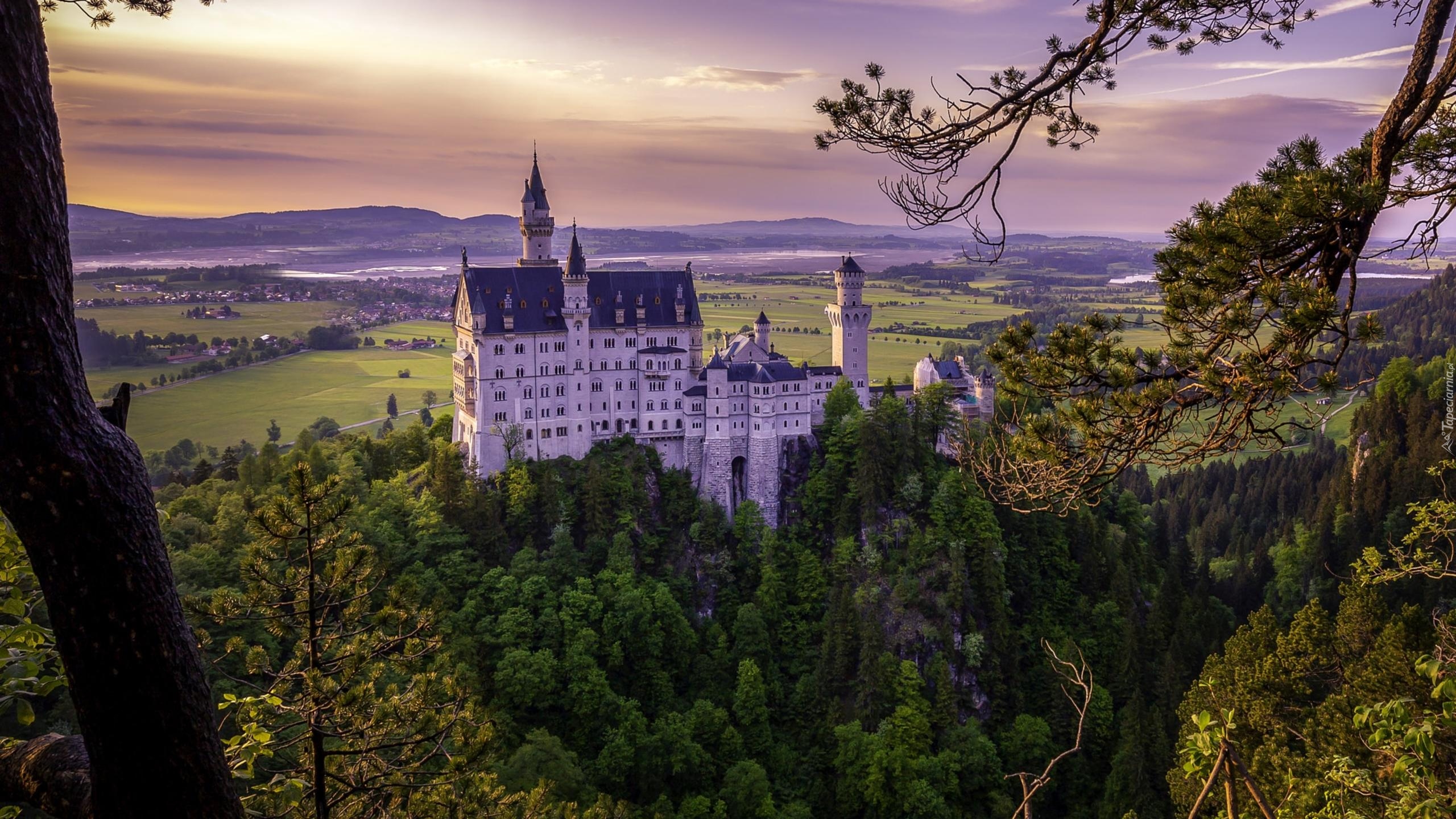 Wzgórze, Lasy, Zamek Neuschwanstein, Drzewa, Pola, Góry, Alpy, Bawaria, Niemcy