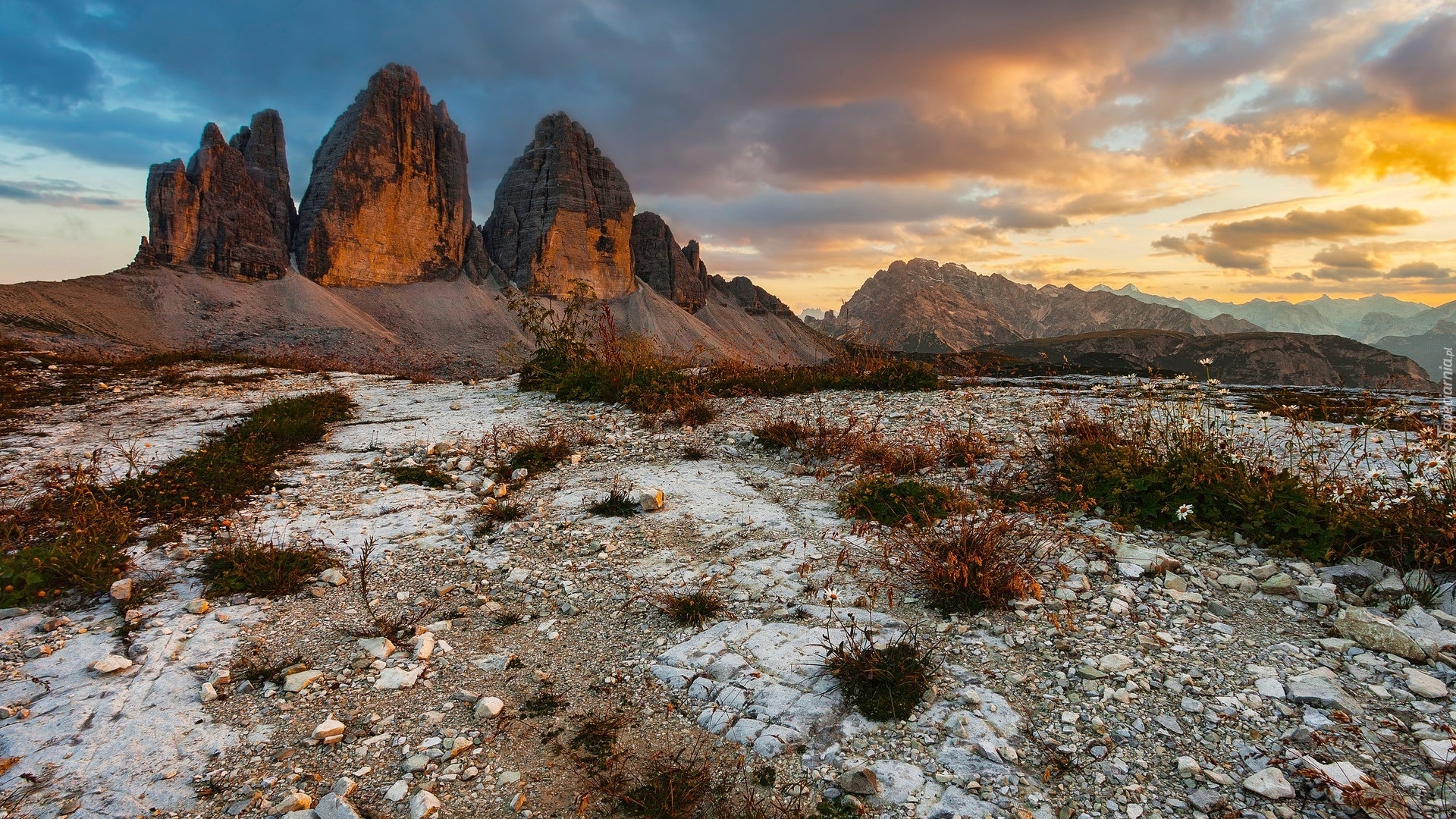 Góry, Dolomity, Tre Cime di Lavaredo, Skały, Kamienie, Rośliny, Włochy