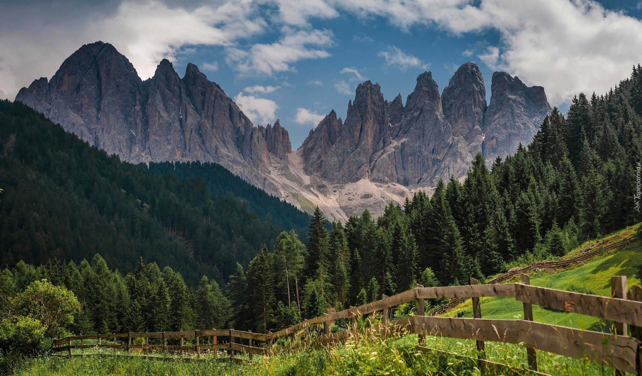 Włochy, Południowy Tyrol, Dolomity, Masyw Odle, Góry, Łąka, Las, Drzewa, Ogrodzenie