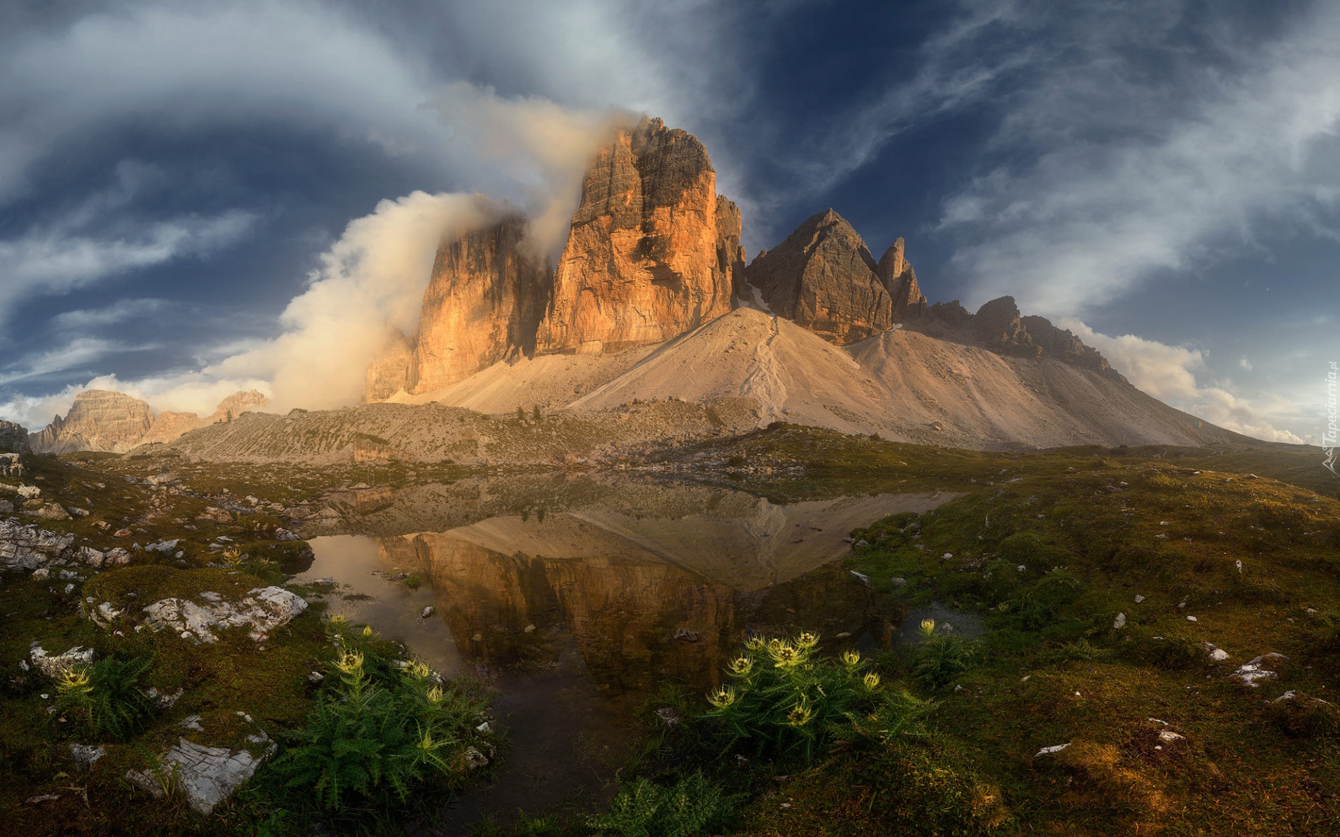 Góry, Dolomity, Tre Cime di Lavaredo, Trawa, Kwiaty, Chmury, Włochy