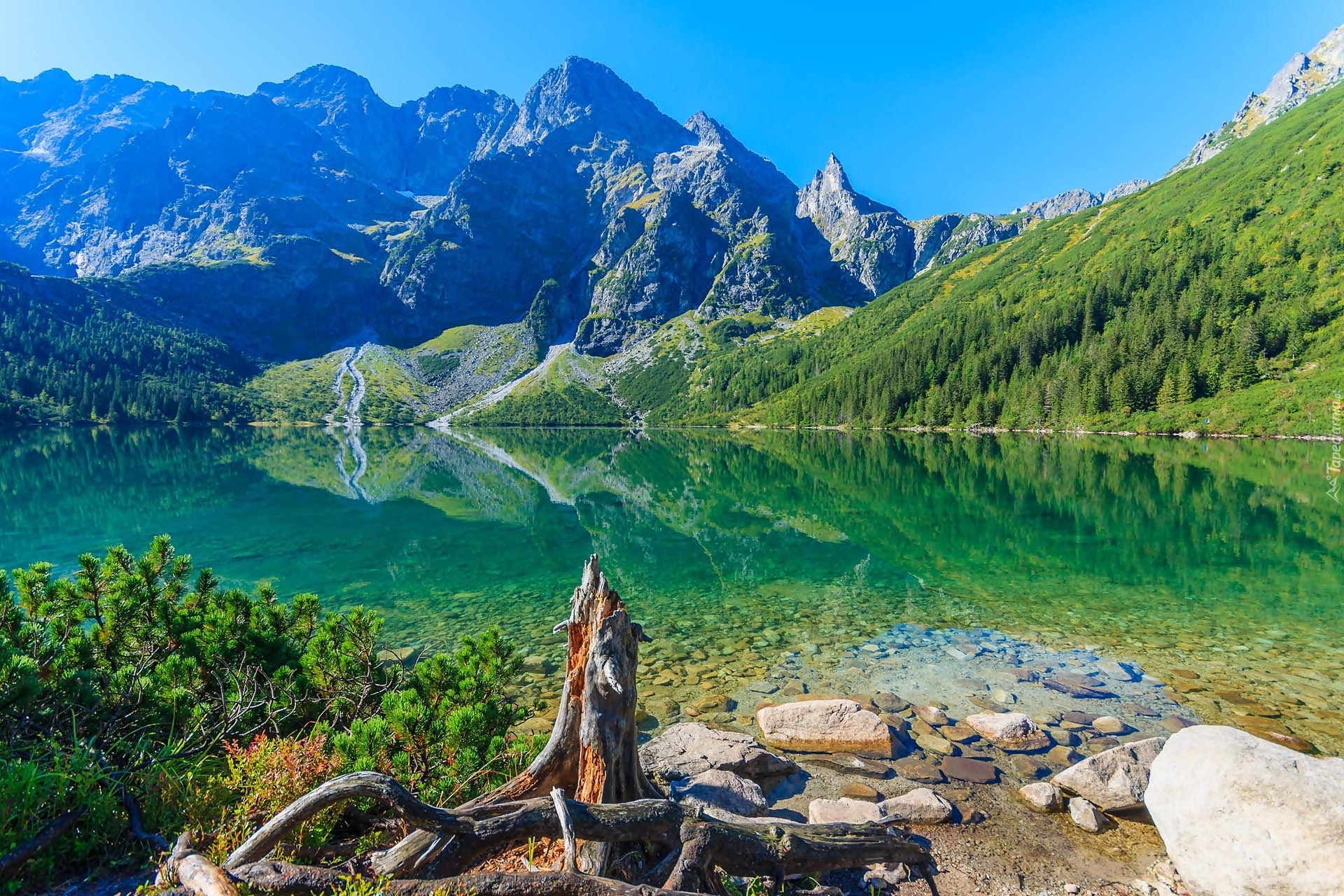 Polska, Jezioro Morskie Oko, Mięguszowieckie Szczyty, Góry Tatry, Kamienie