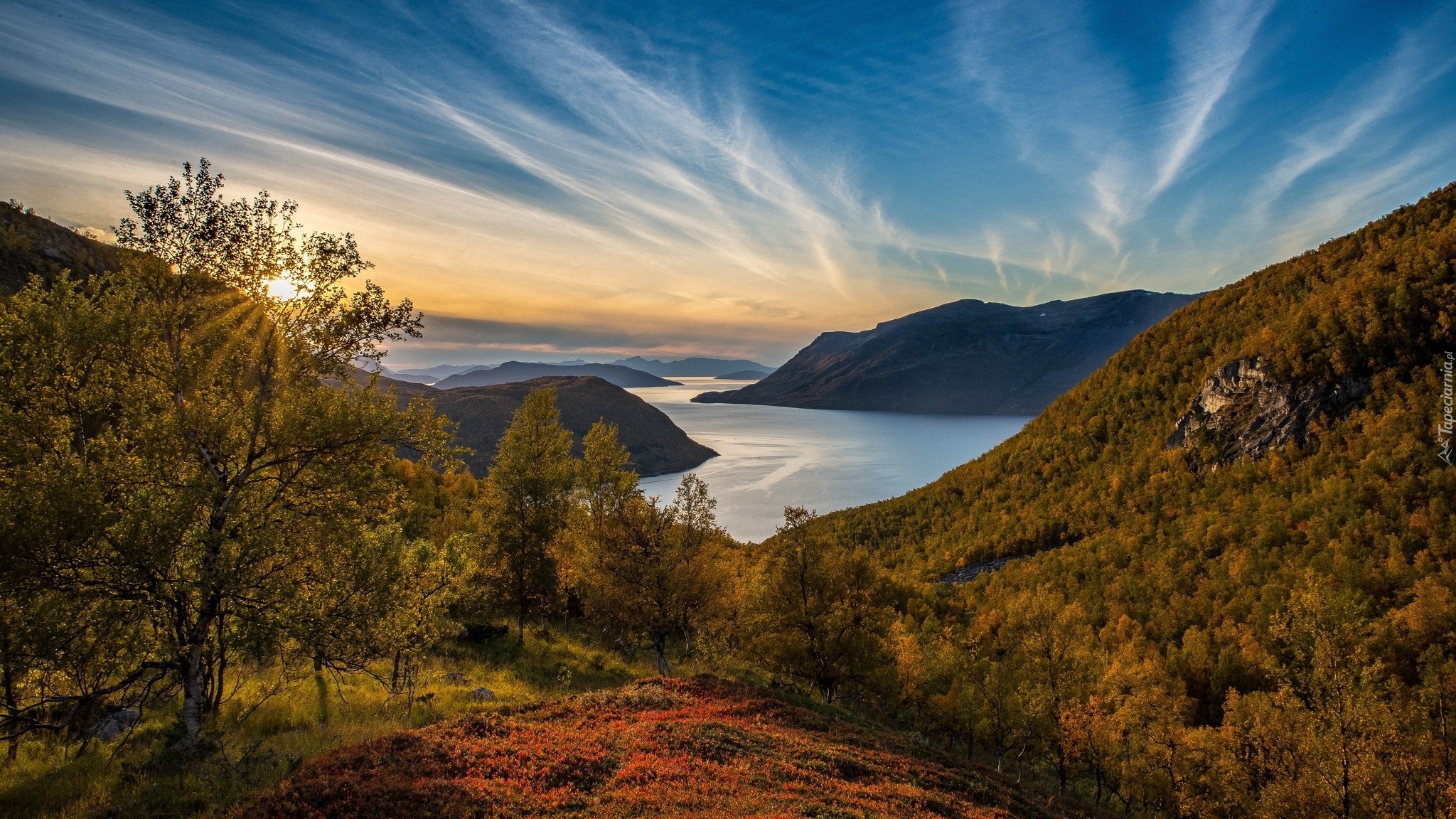 Norwegia, Burfjord, Wzgórza, Morze Norweskie, Wzgórza, Drzewa, Promienie słońca