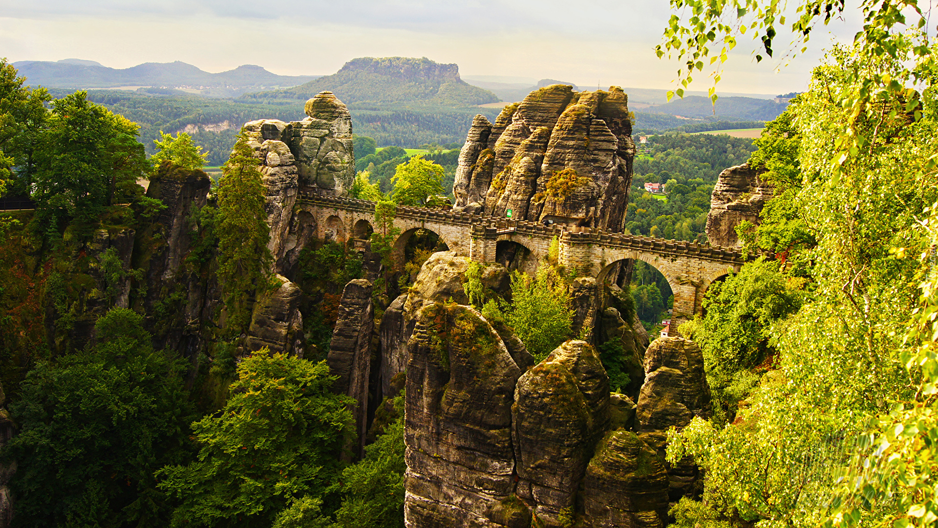Park Narodowy Saskiej Szwajcarii, Formacja skalna Bastei, Drzewa, Most, Skały, Góry Połabskie, Niemcy