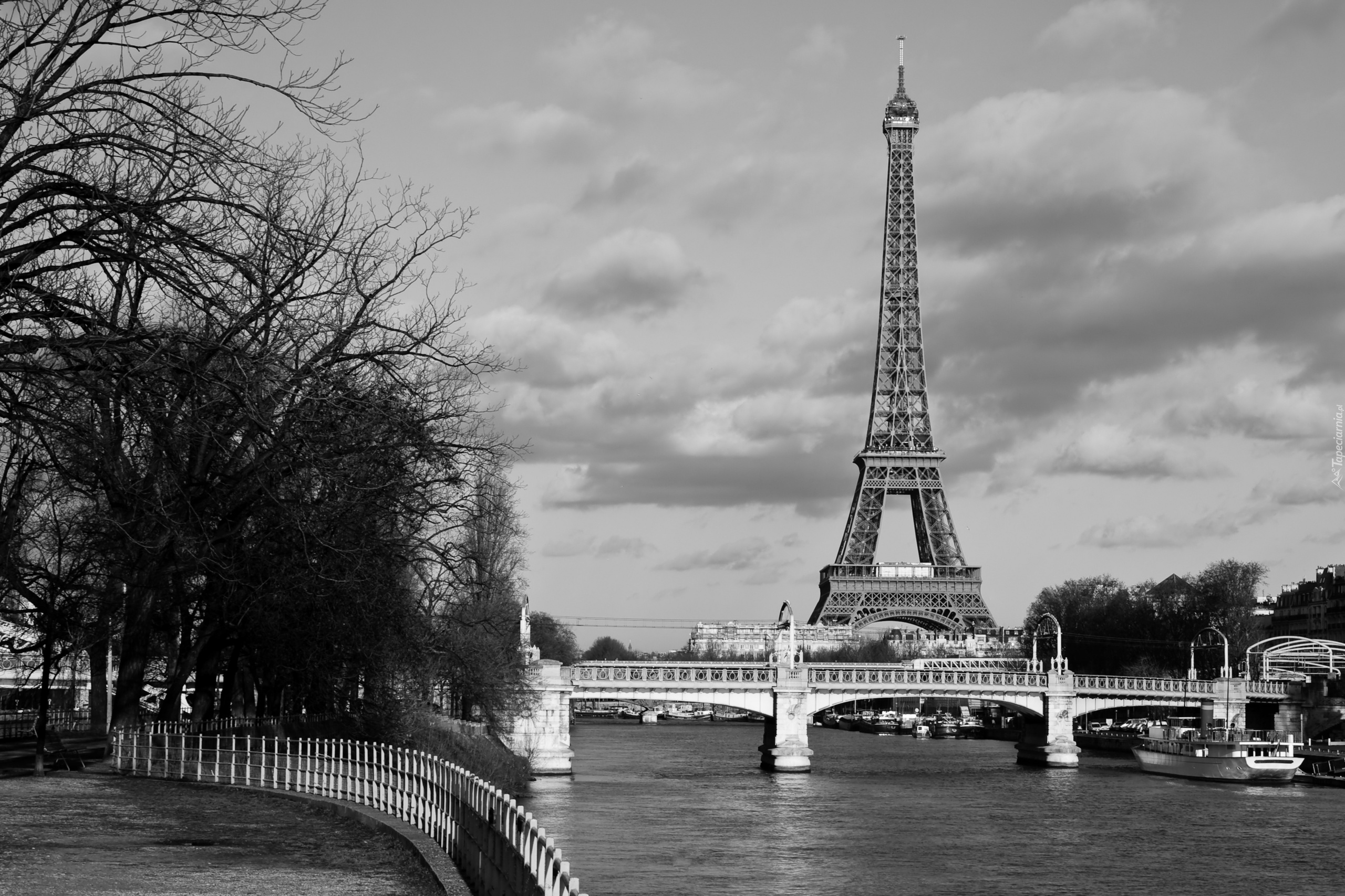 Francja, Paryż, Most, Wieża Eiffla, Rzeka Sekwana, Bulwar, Drzewa