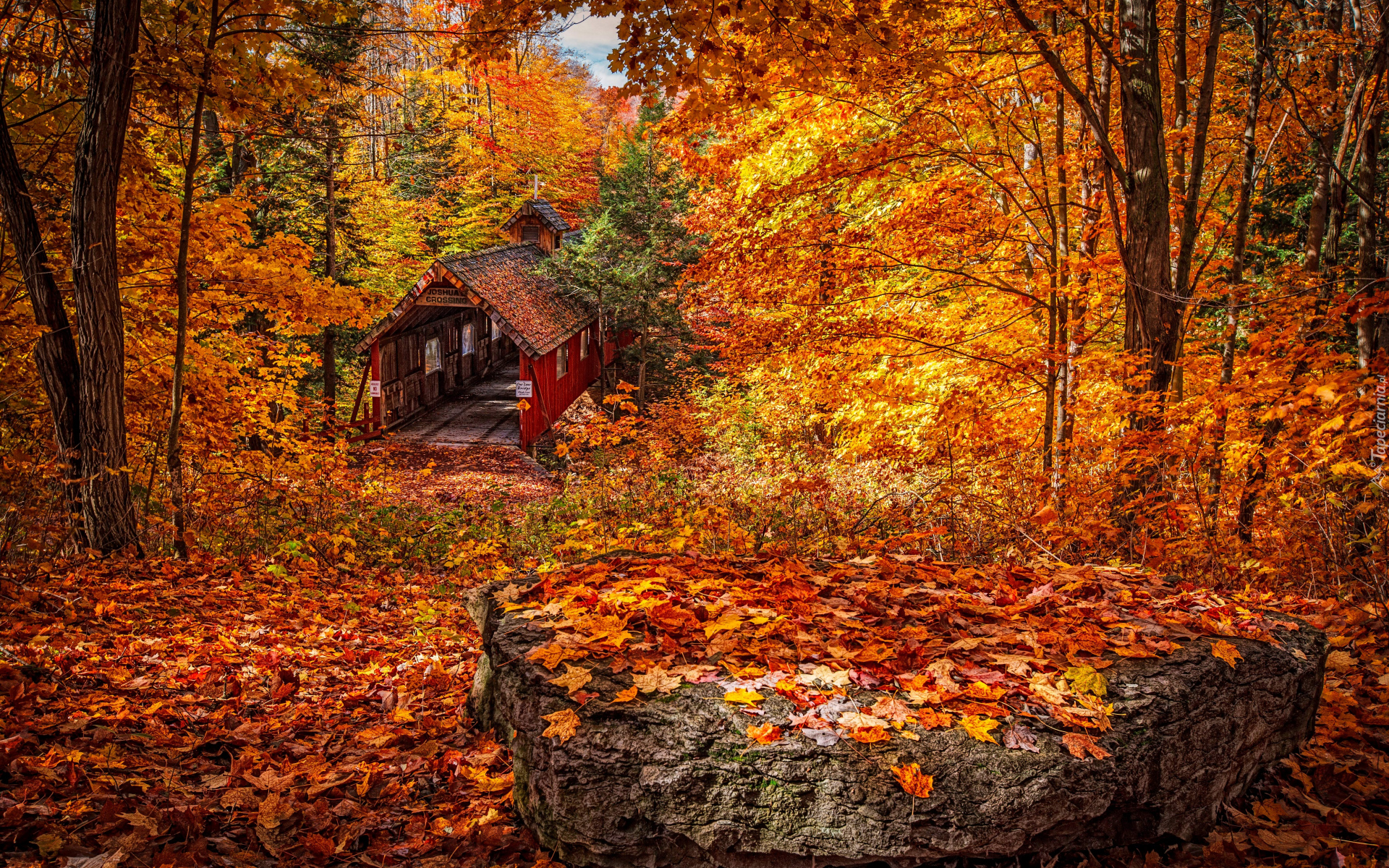 Stany zjednoczone, Stan Michigan, Wieś Lake Ann, Most Joshuas Crossing Covered Bridge, Jesień, Las, Drzewa, Liście, Kamień