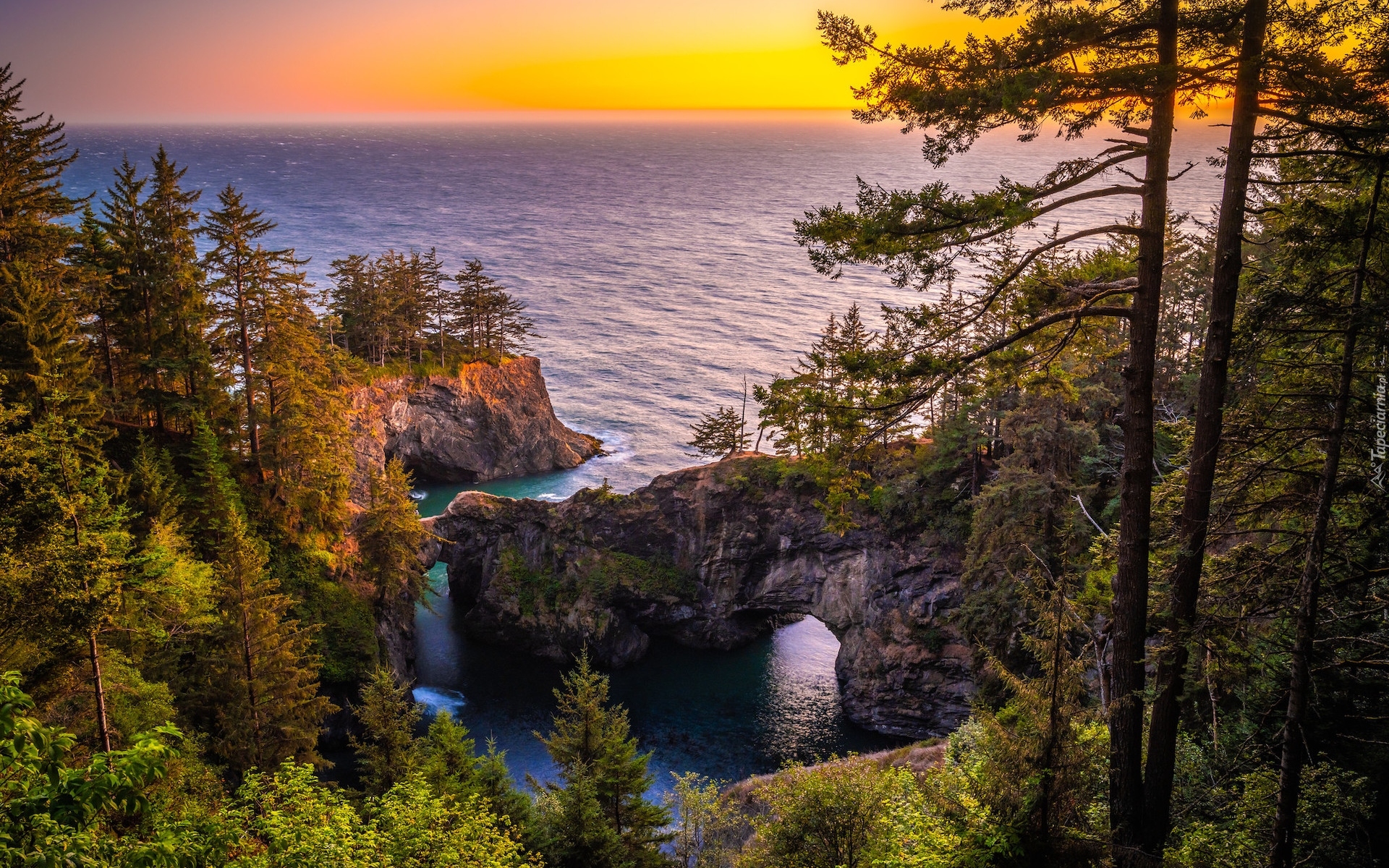 Skały, Most skalny, Drzewa, Morze, Wybrzeże Park stanowy, Samuel H. Boardman State Scenic Corridor, Punkt widokowy, Natural Bridges Viewpoint, Brookings, Oregon, Stany Zjednoczone