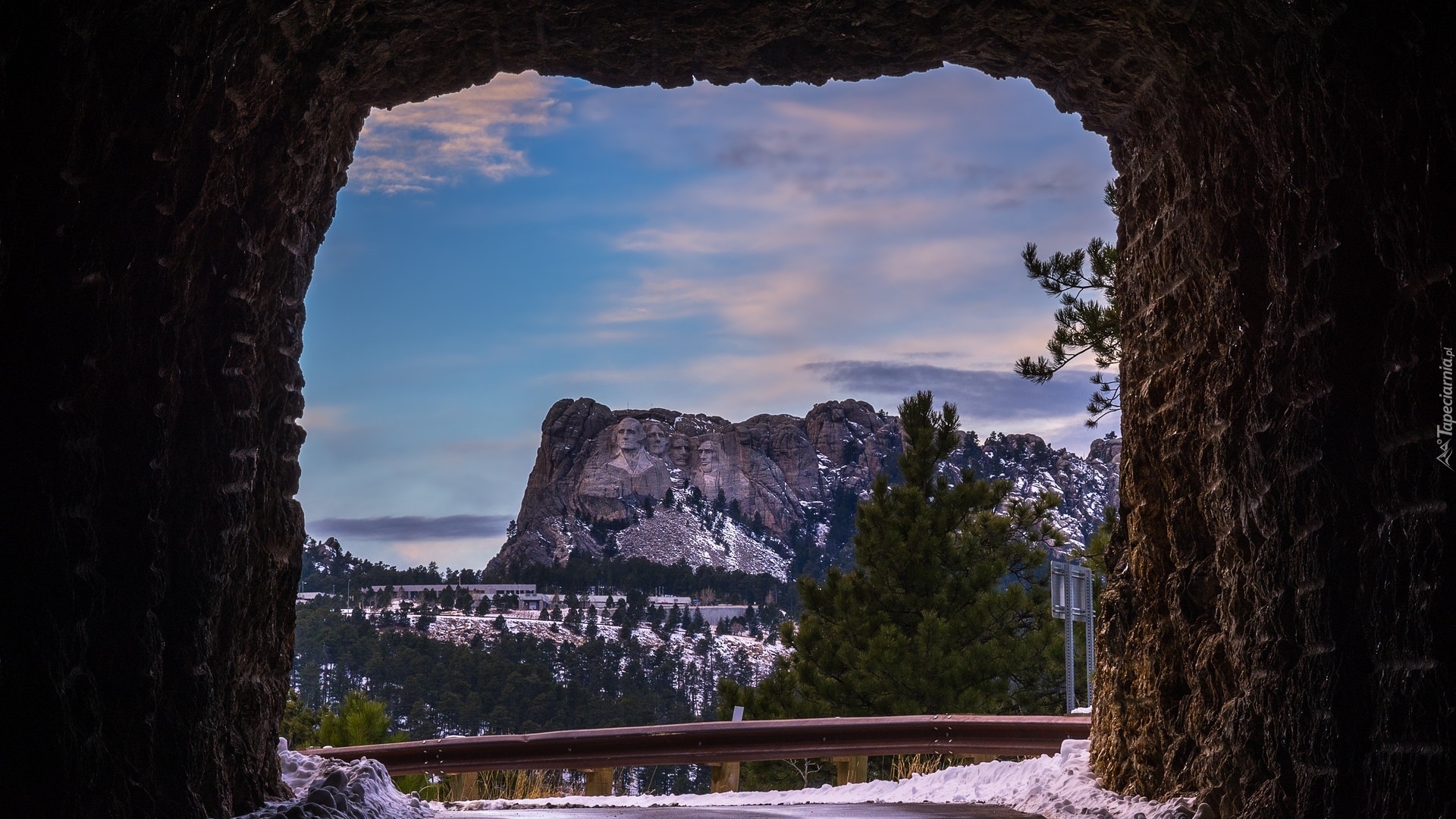 Skały, Drzewa, Wykuty, Pomnik, Mount Rushmore National Memorial, Góra, Mount Rushmore, Dakota Południowa, Stany Zjednoczone