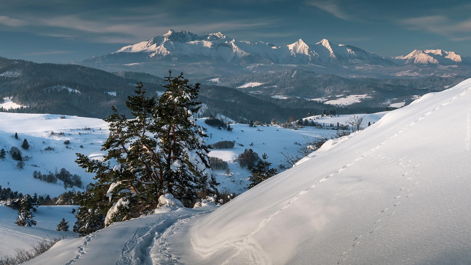 Zima, Śnieg, Drzewa, Pieniny, Góry, Tatry, Polska