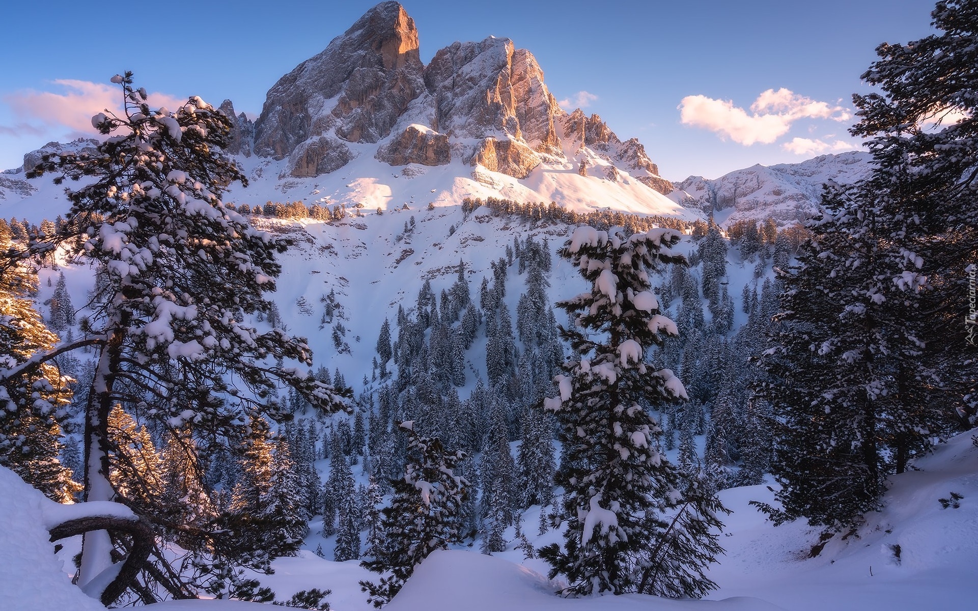 Zima, Góry, Dolomity, Góra Peitlerkofel, Sass de Putia, Drzewa, Włochy