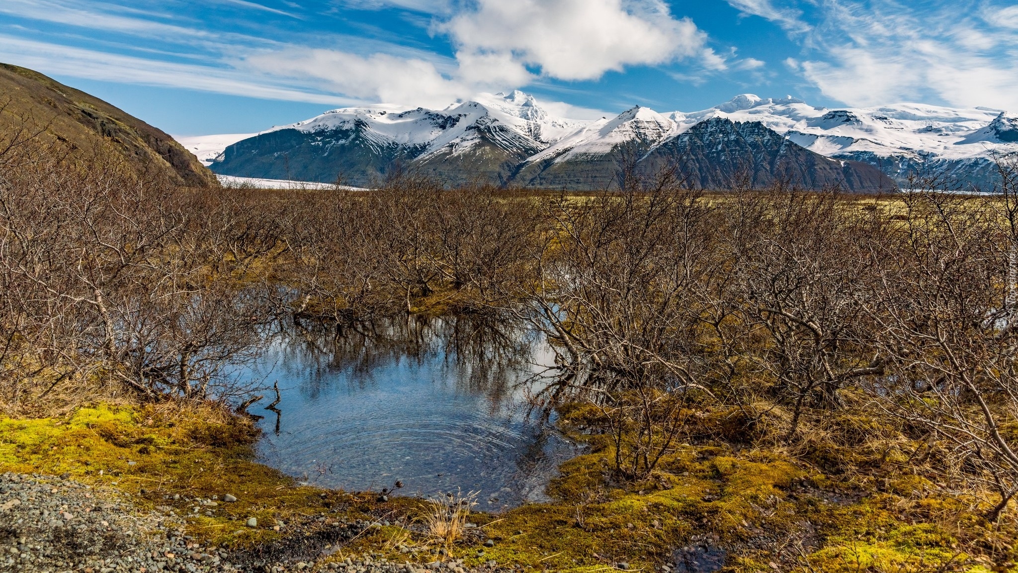 Islandia, Park Narodowy Vatnajökull, Góry, Drzewa, Jezioro
