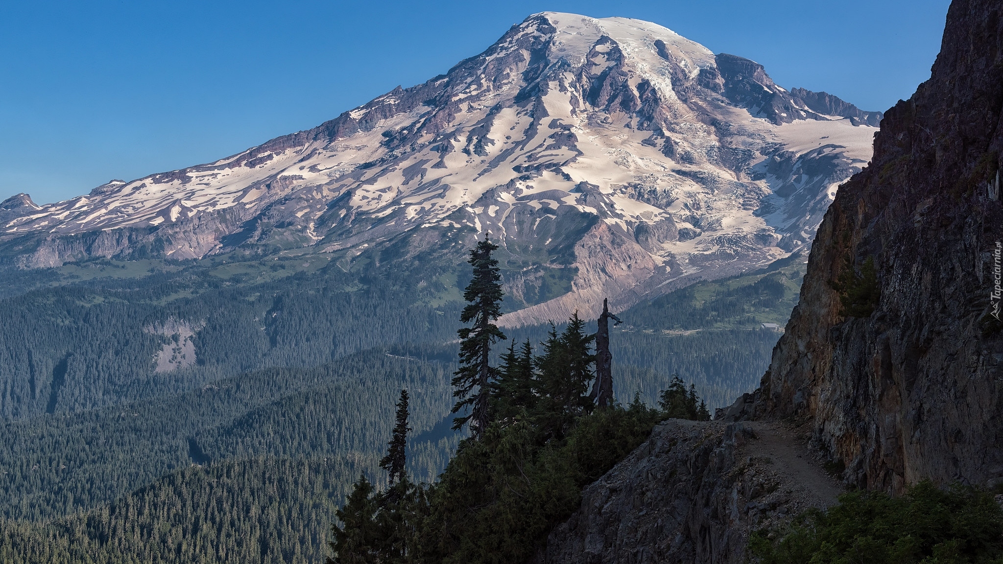 Ośnieżone, Góry, Stratowulkan Mount Rainier, Drzewa, Świerki, Skały, Park Narodowy Mount Rainier, Stan Waszyngton, Stany Zjednoczone