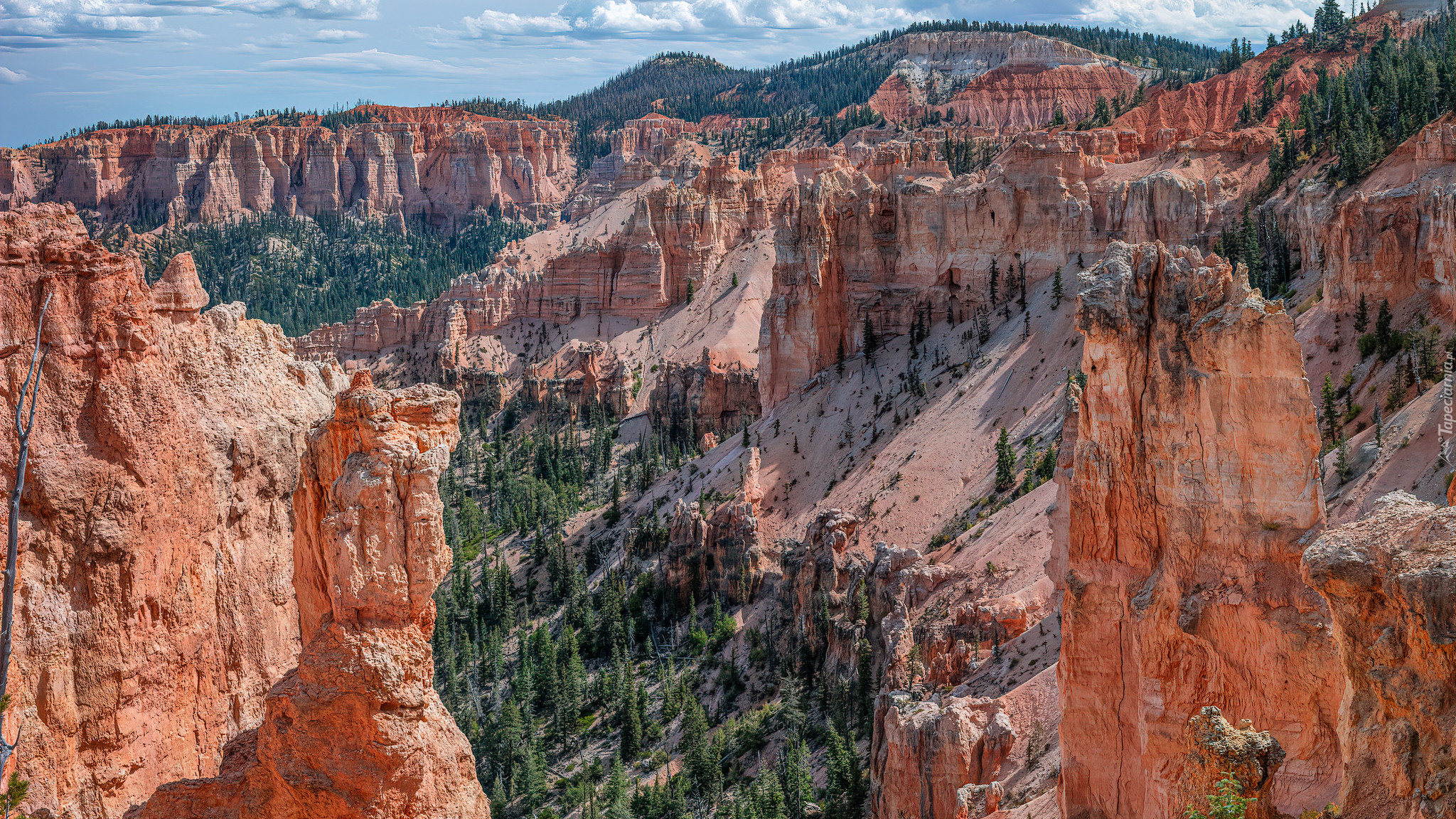 Kanion, Skały, Drzewa, Park Narodowy Bryce Canyon, Utah, Stany Zjednoczone